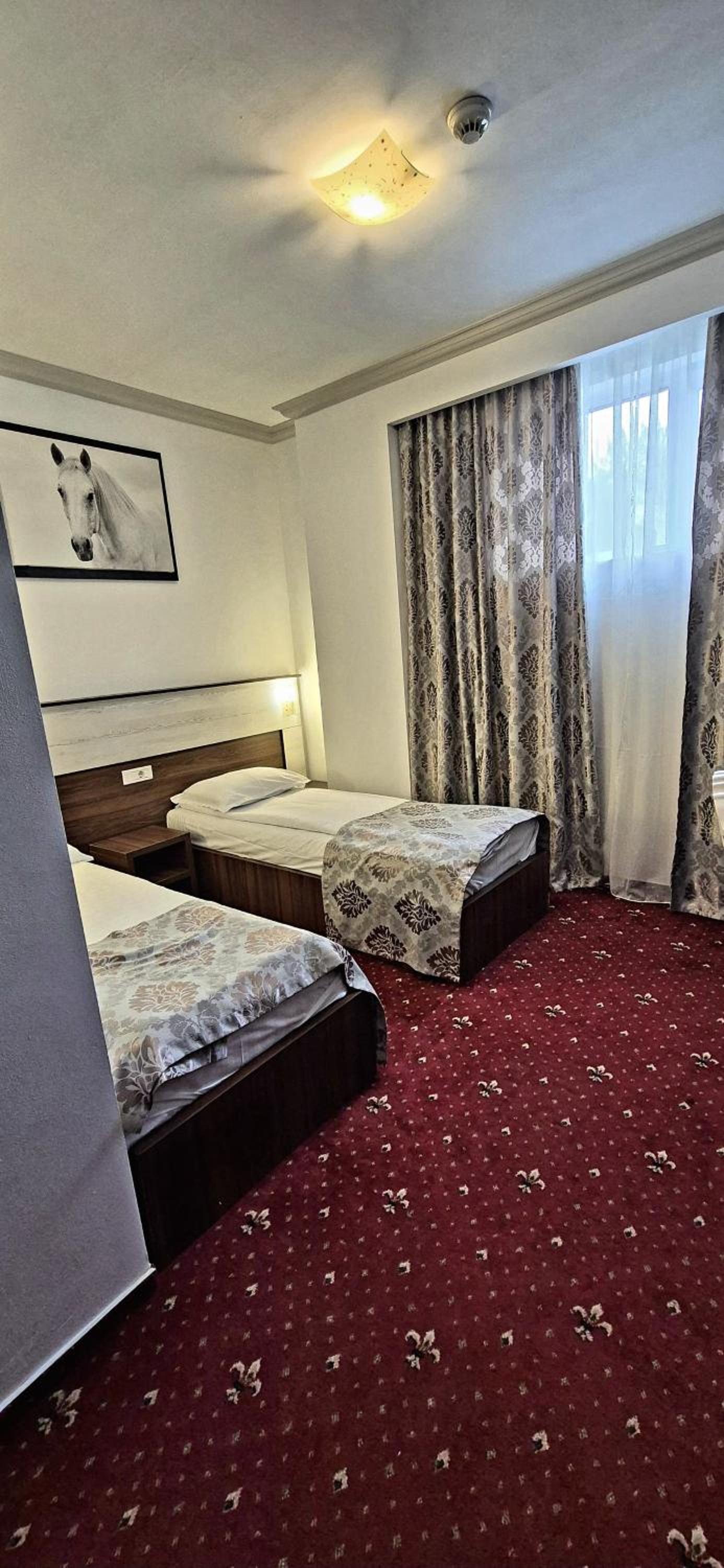 Single Room photo 2