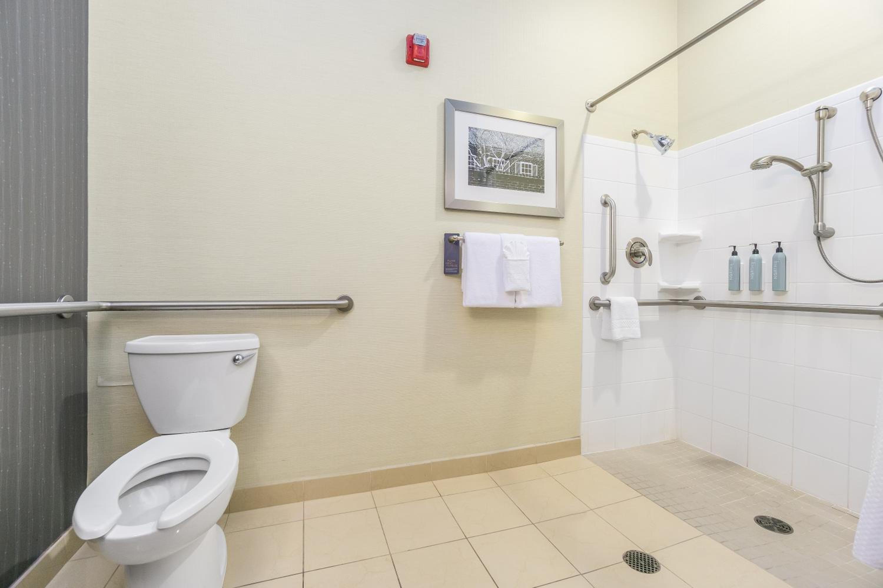 King Room with Sofa Bed and Roll-in Shower - Mobility and Hearing Accessible