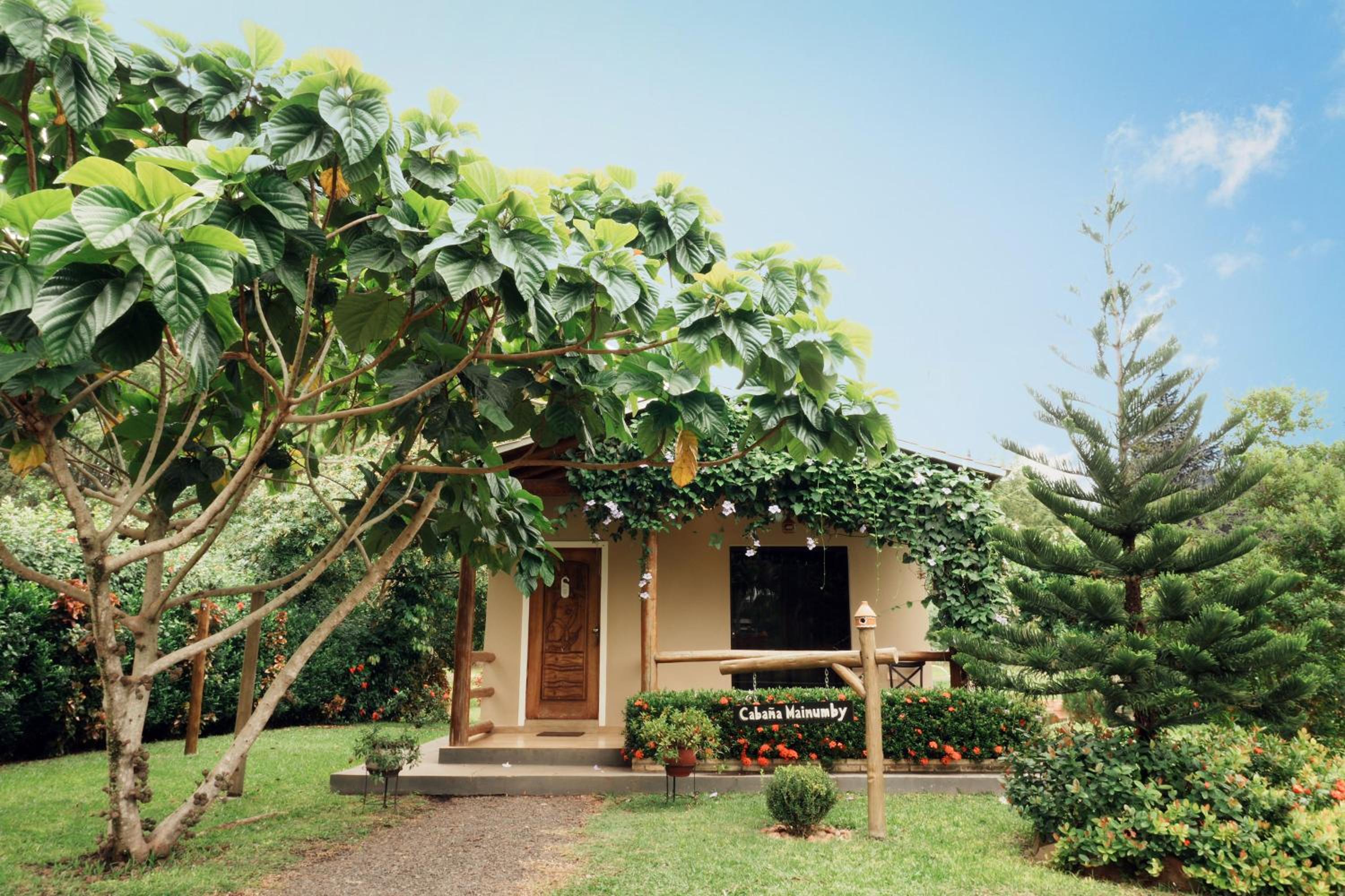 One-Bedroom Cottage photo 3