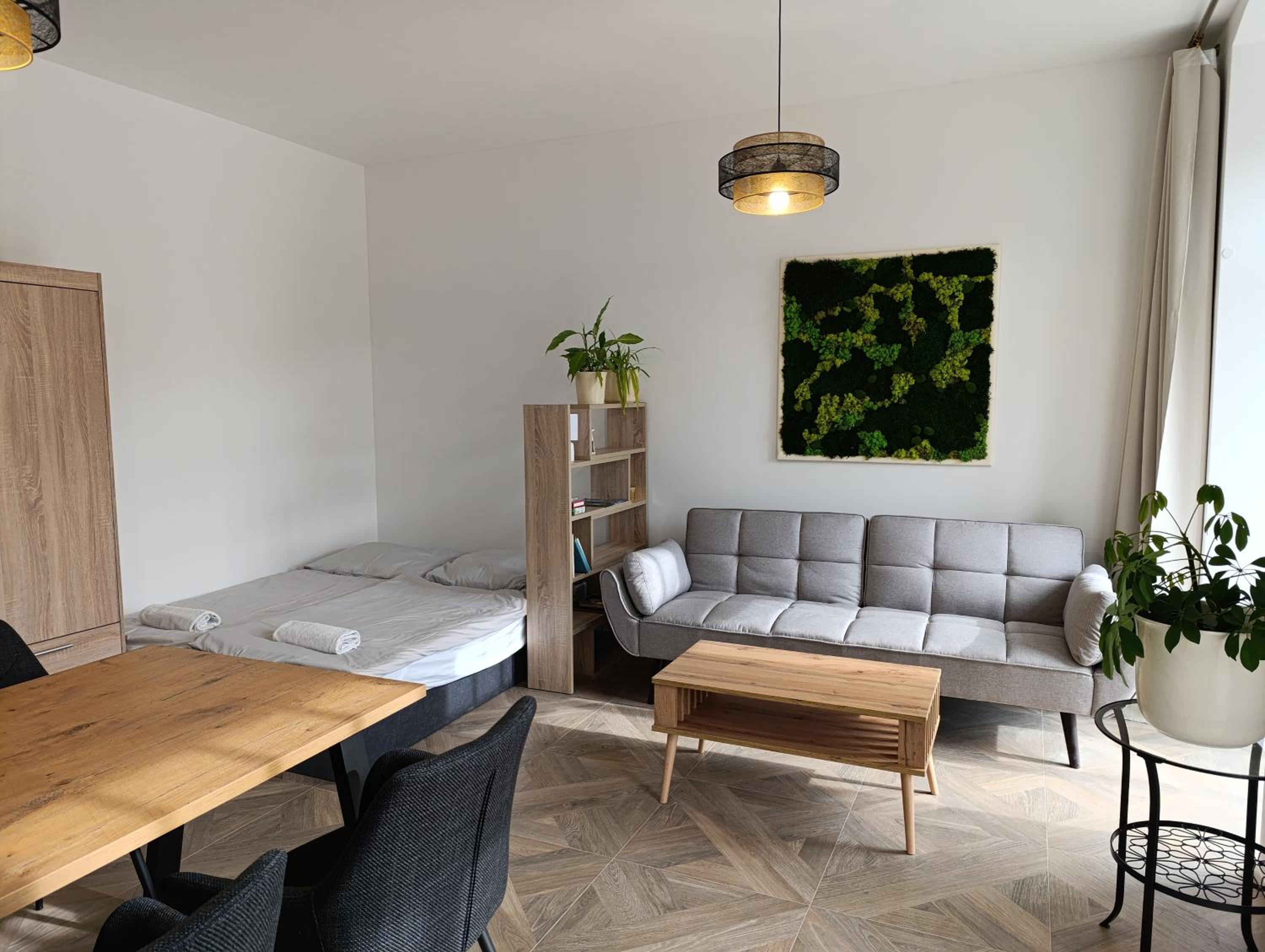 Apartment with Terrace photo 1