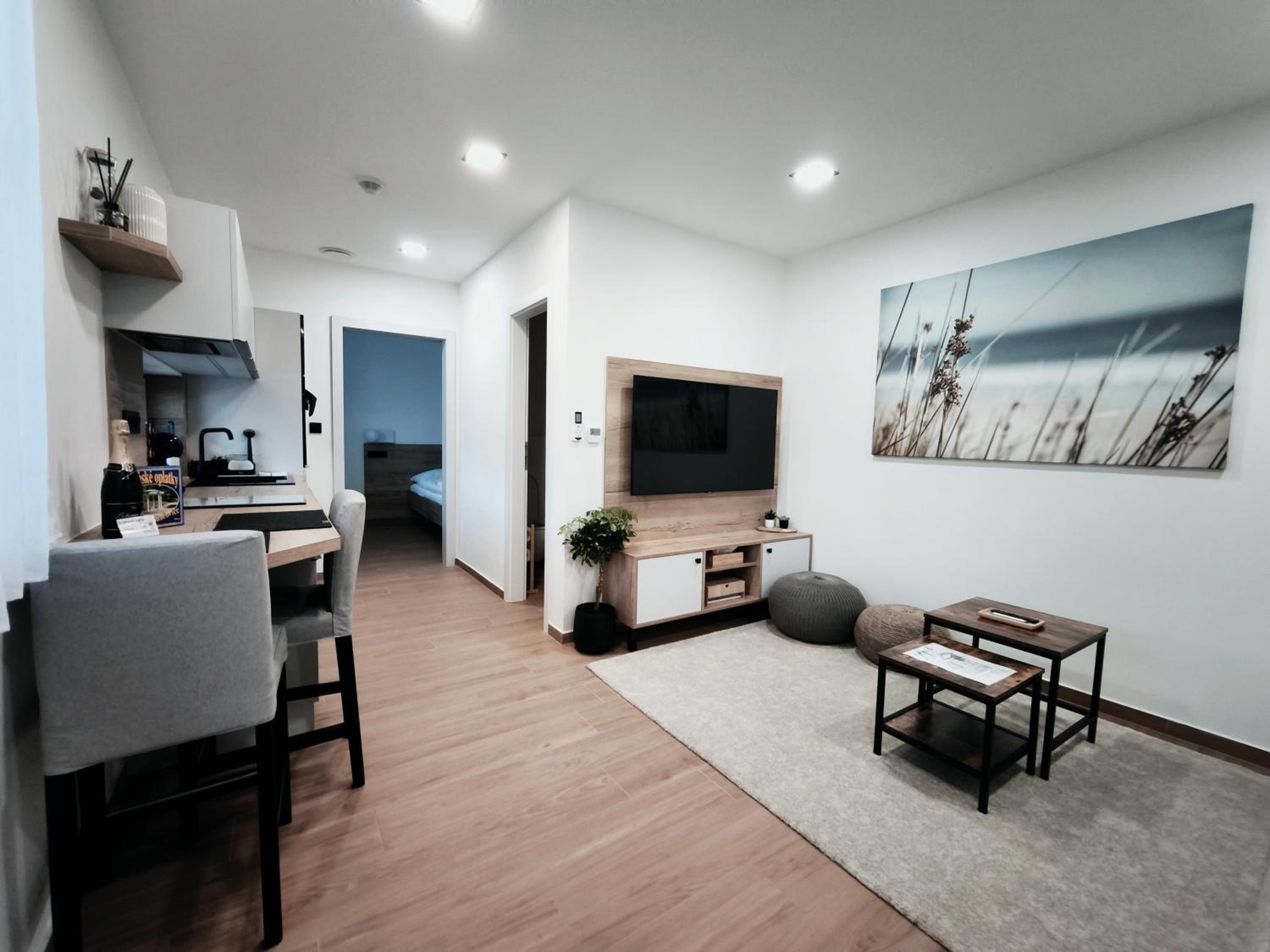 Superior Apartment photo 2