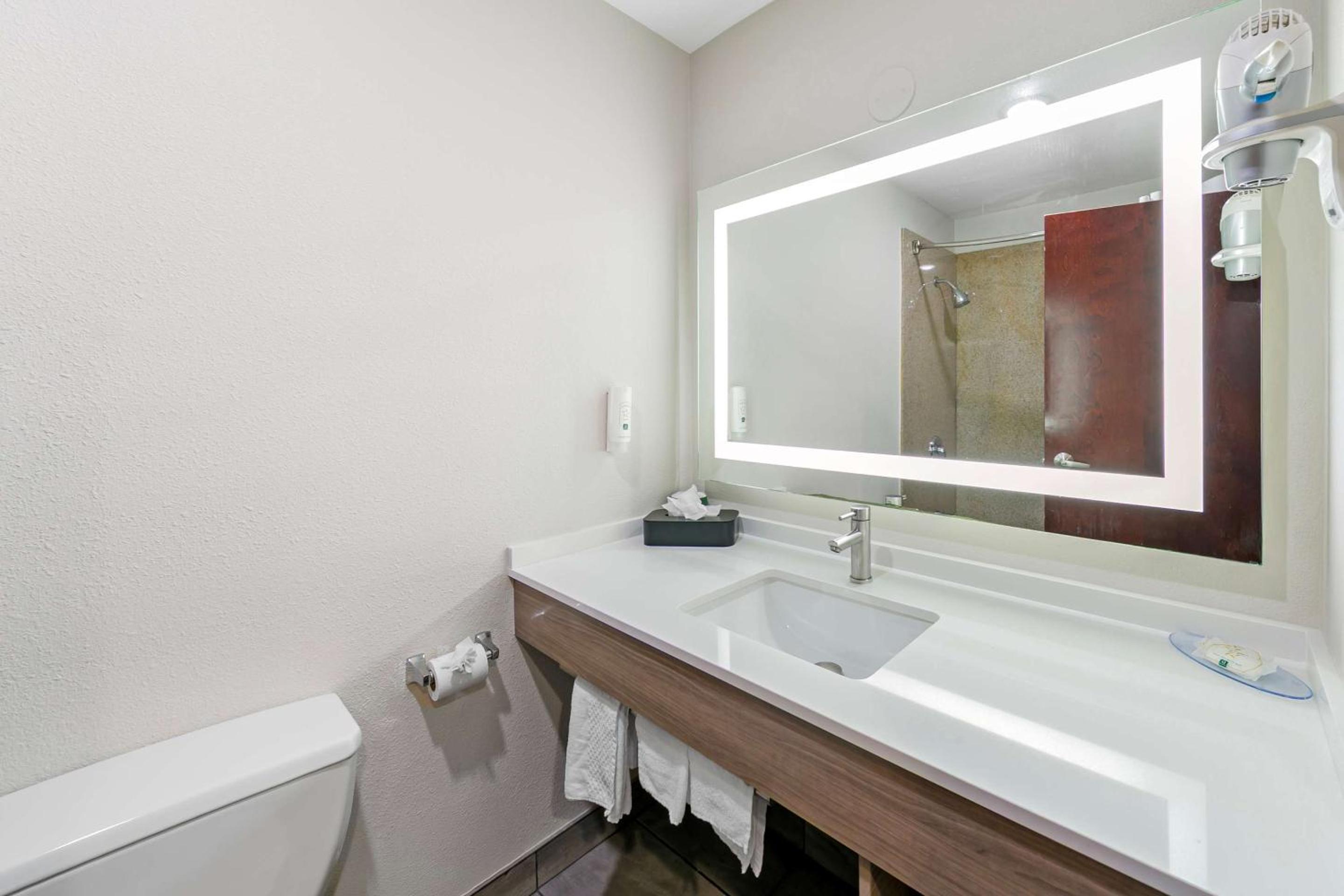 Accessible King Room - Non-Smoking - Photo 4