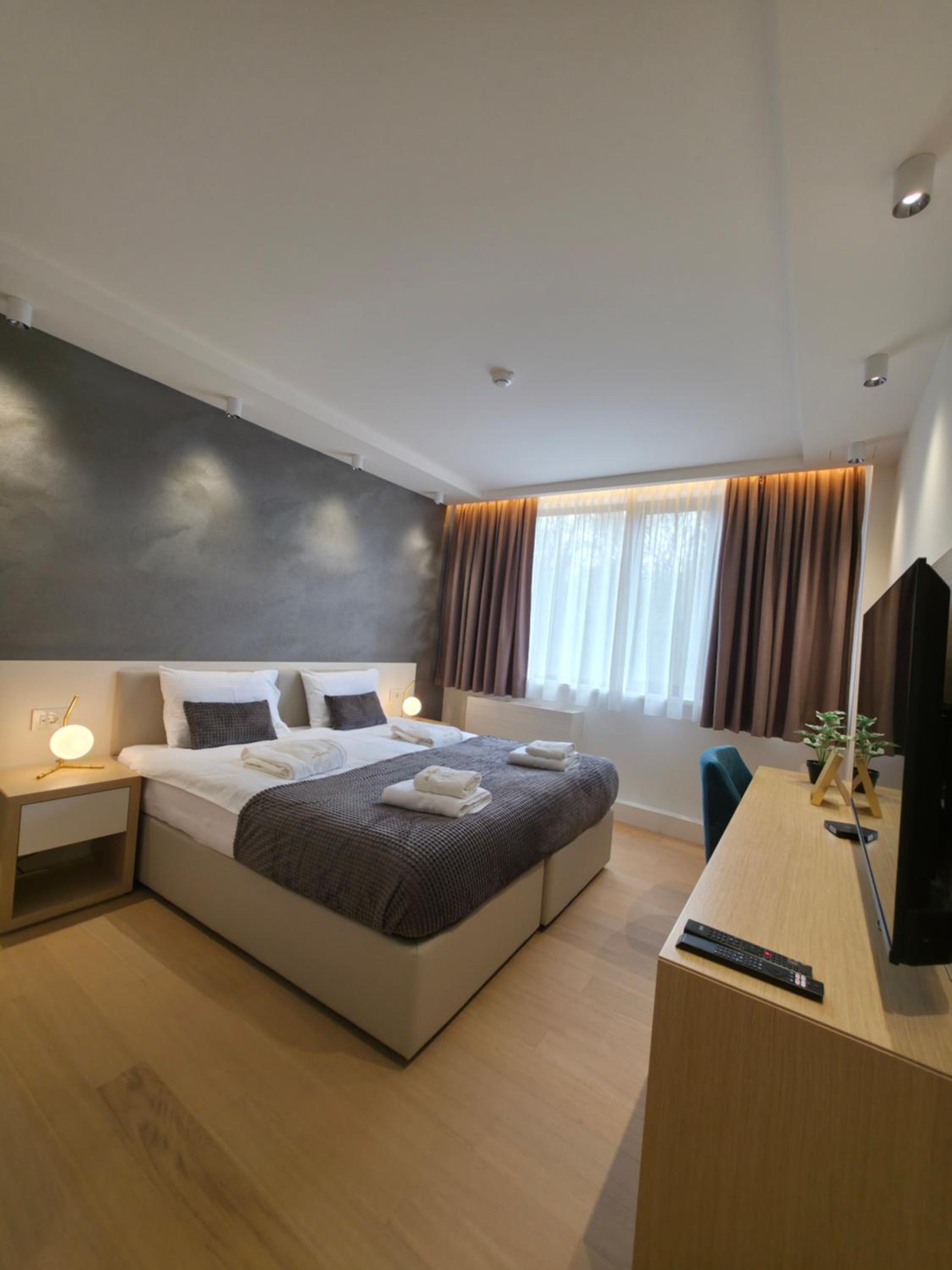 Deluxe One-Bedroom Apartment photo 2