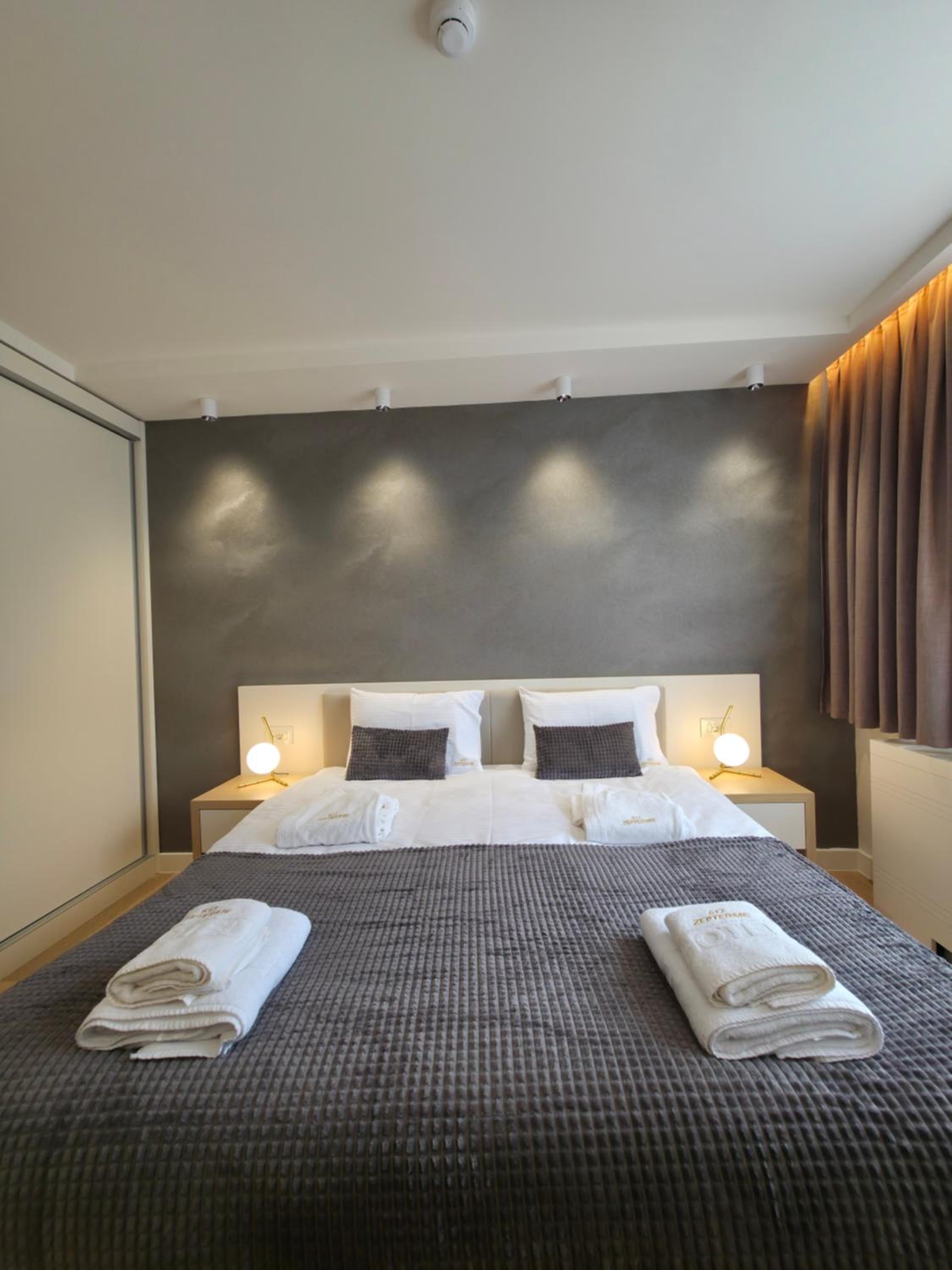 Deluxe One-Bedroom Apartment