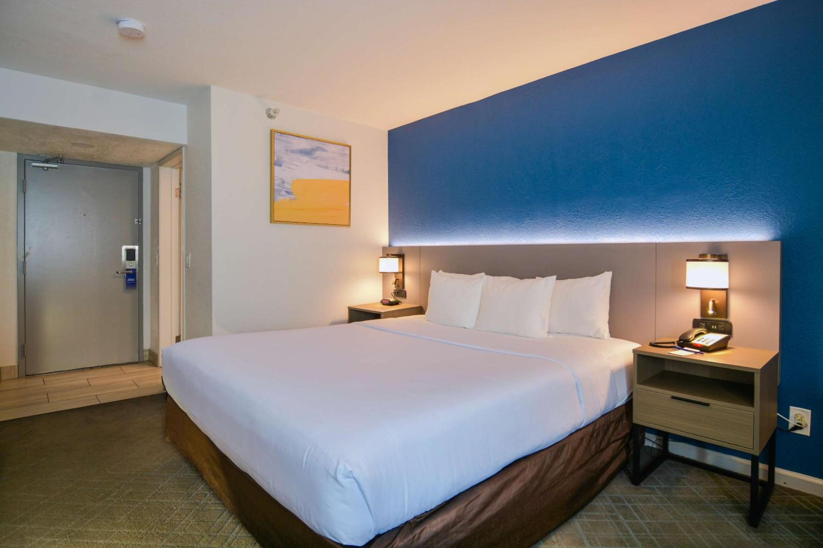 King Room - Non Smoking/Pet Friendly