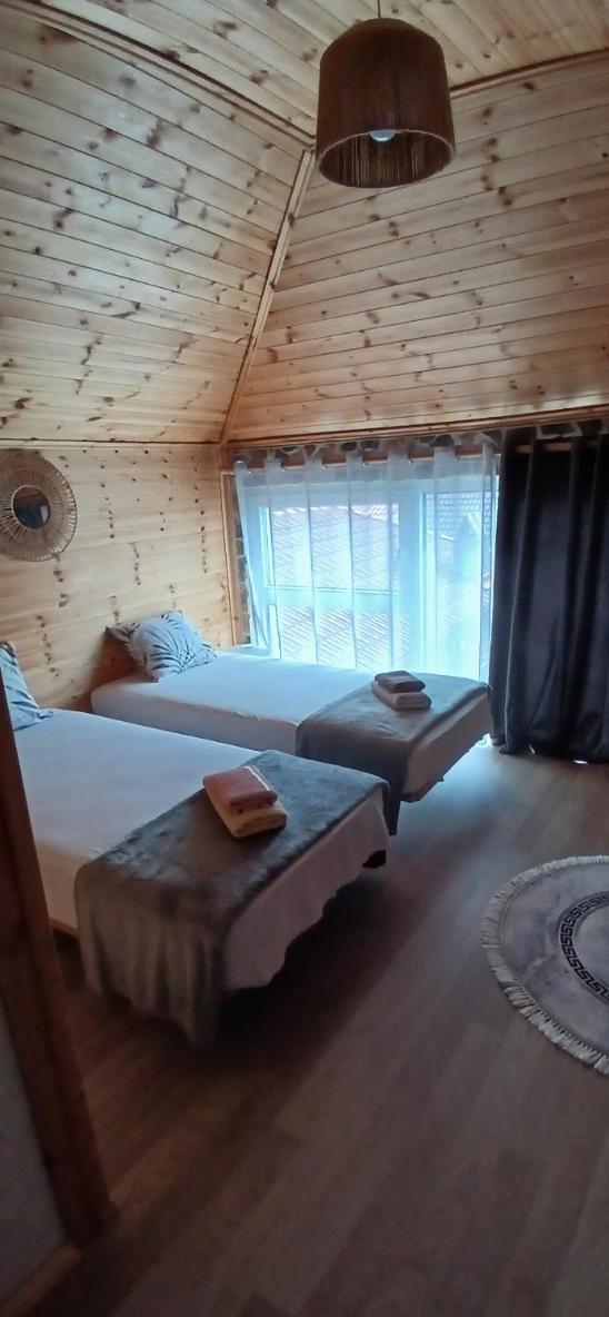 Deluxe Double or Twin Room photo 2