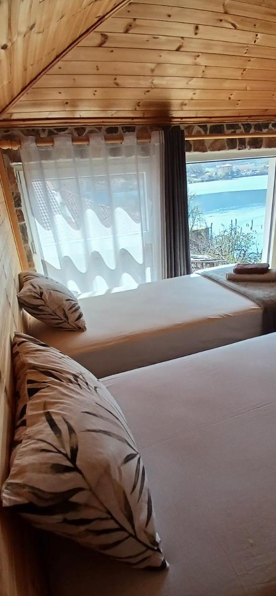 Deluxe Double or Twin Room photo 3