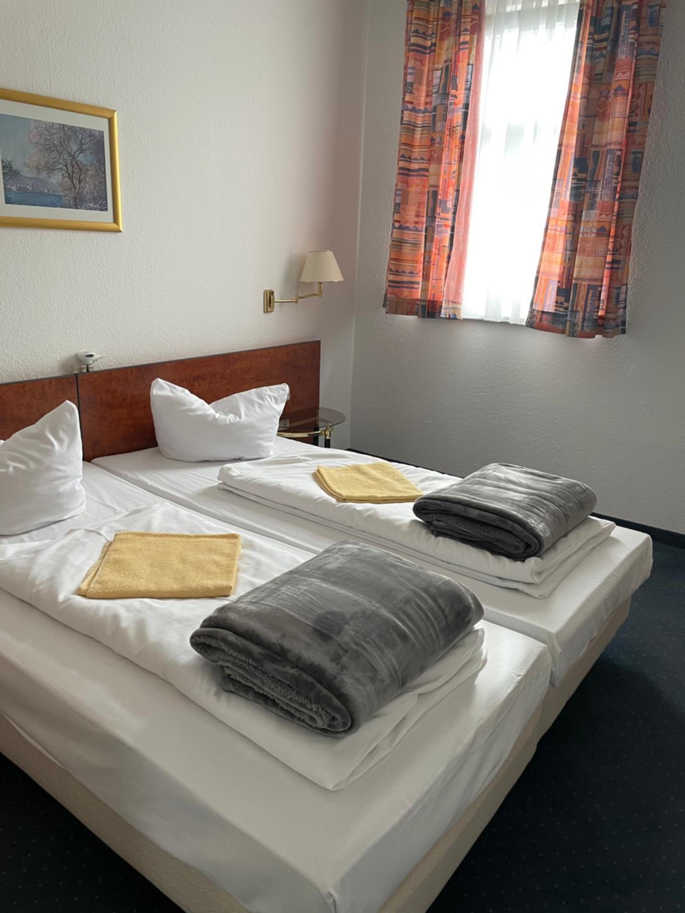 Double or Twin Room photo 2