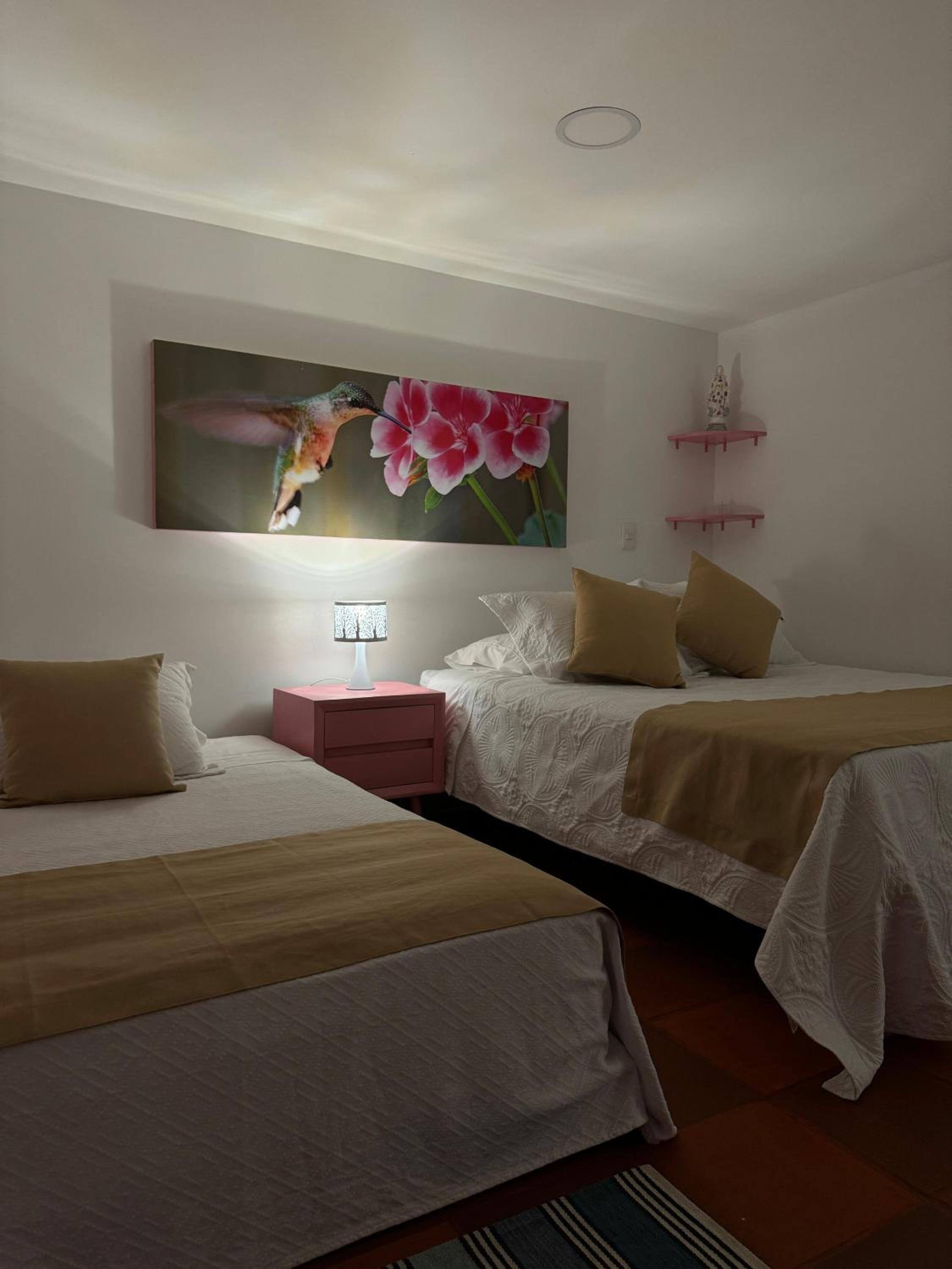 Double or Twin Room