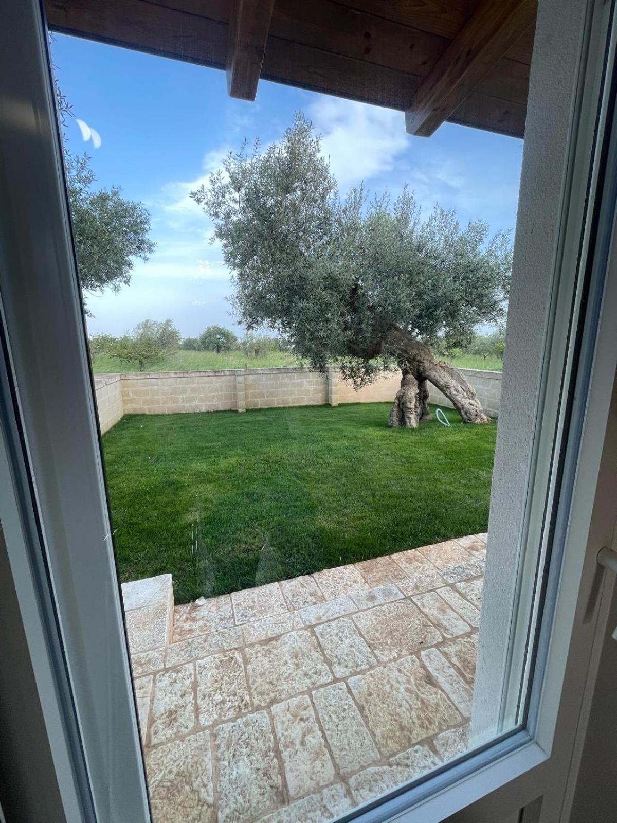 Bungalow with Garden View photo 3