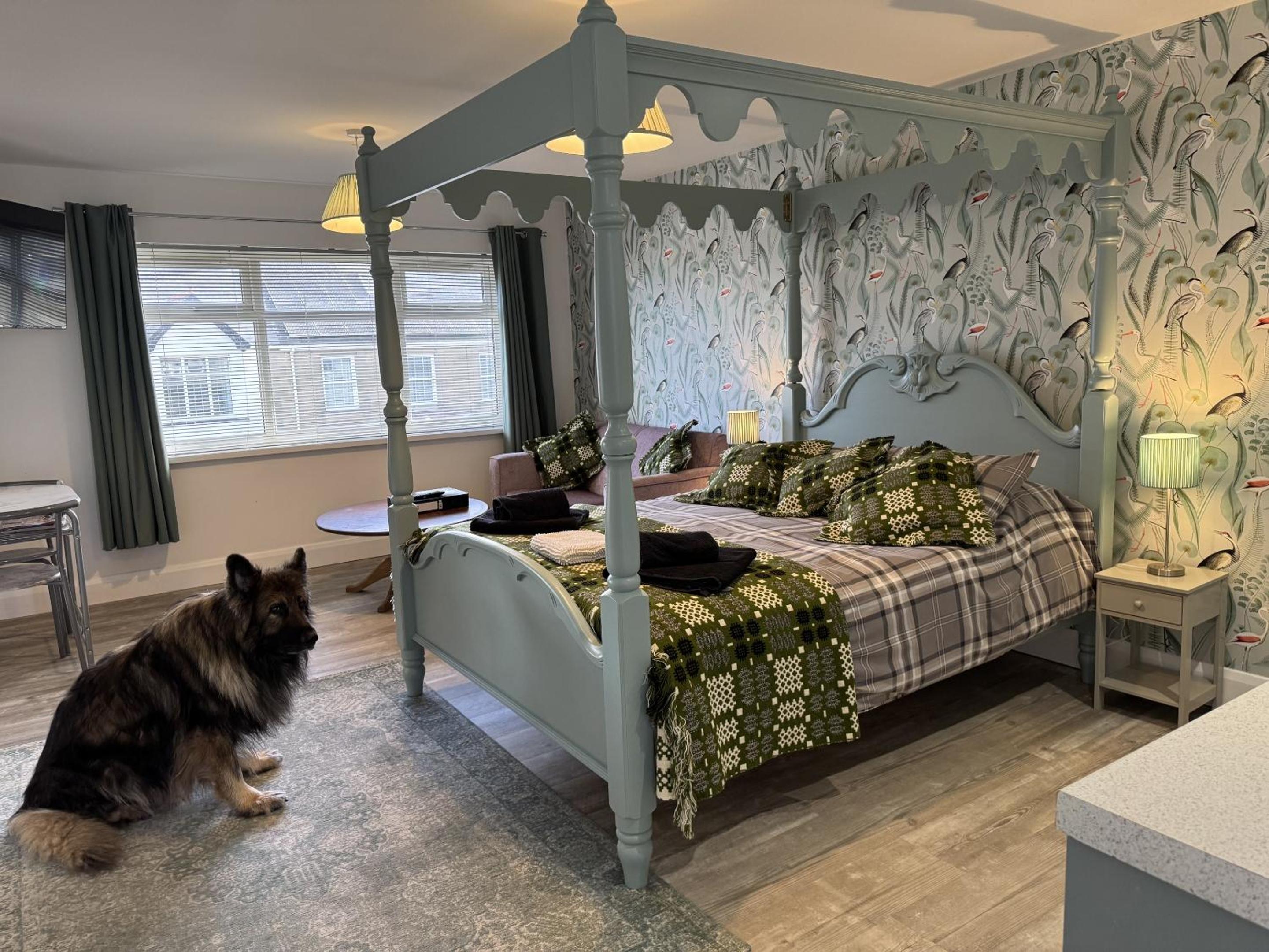 Superior King Room