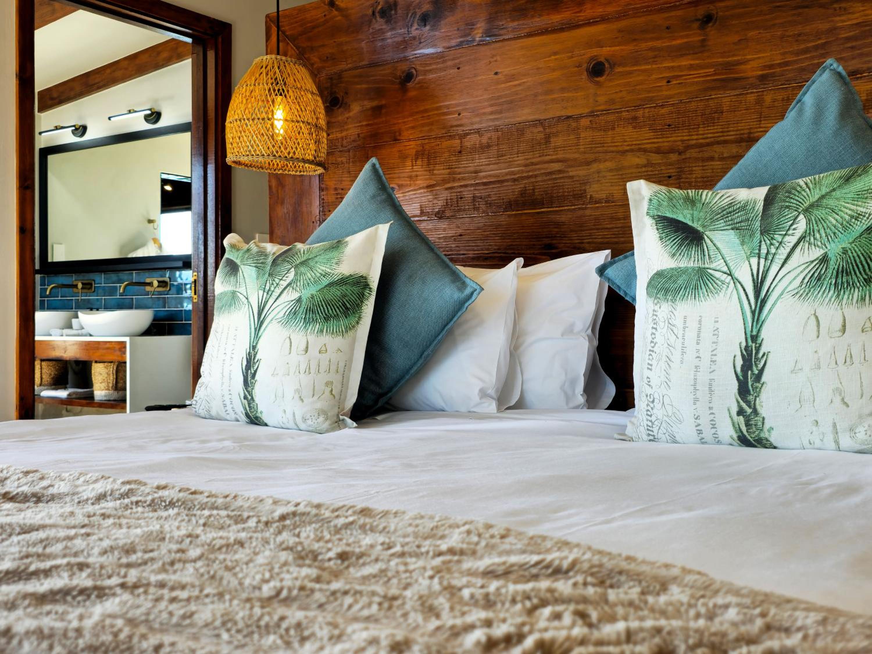 Suite - Photo 1