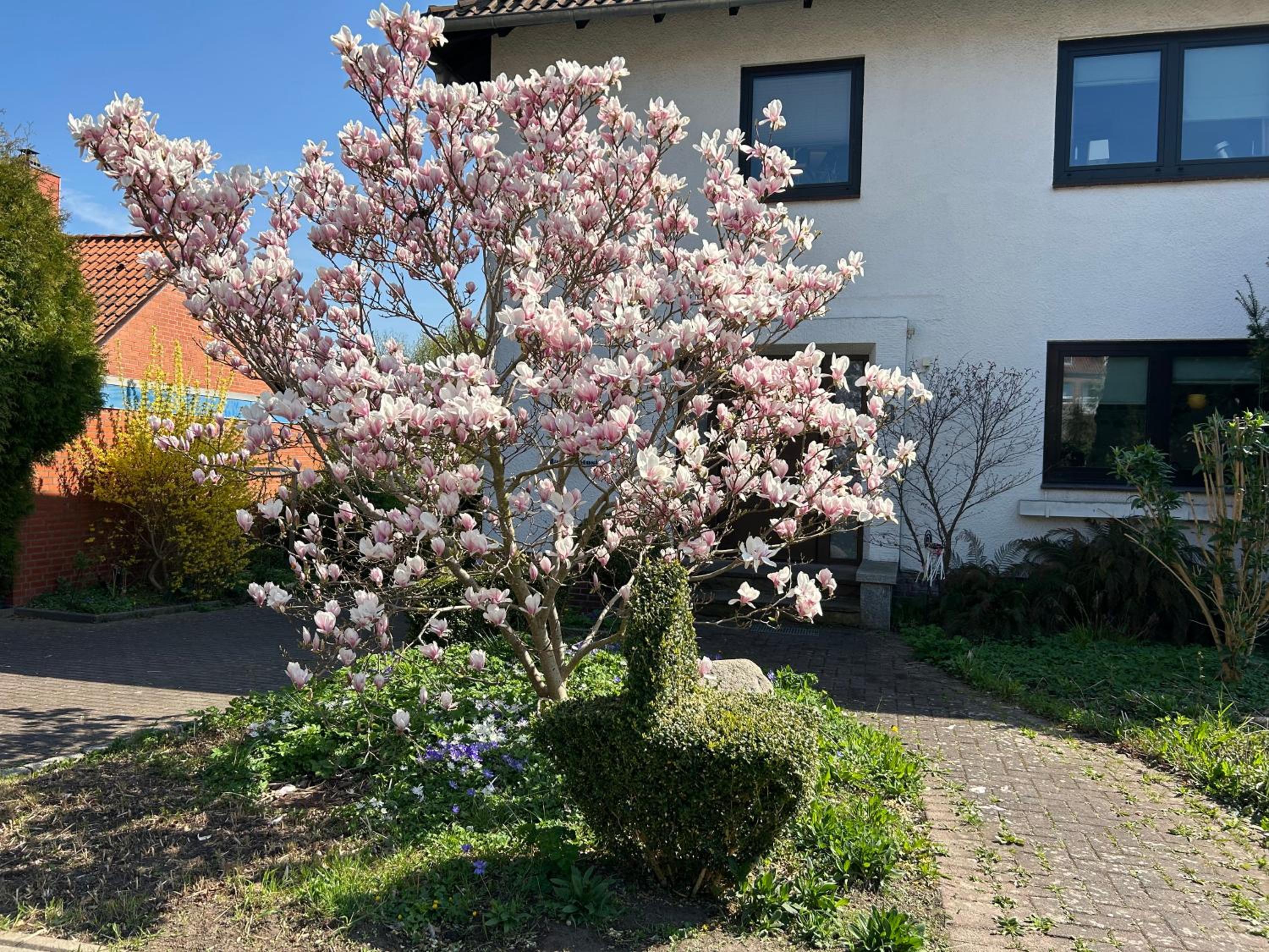 Haus Potosi, Travemünde, Billede 9
