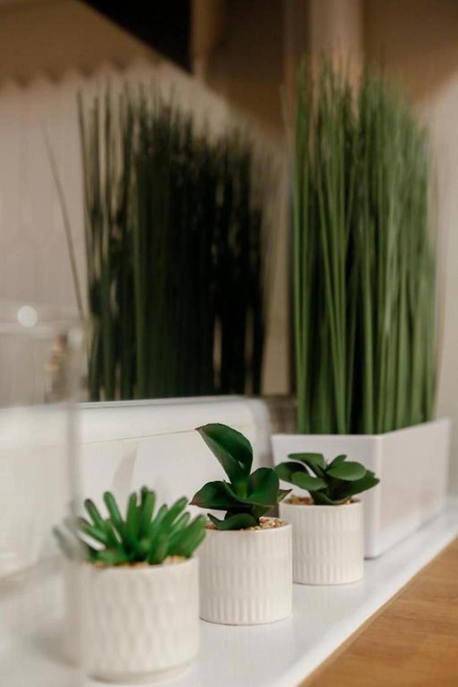 Standard Studio - Photo 10