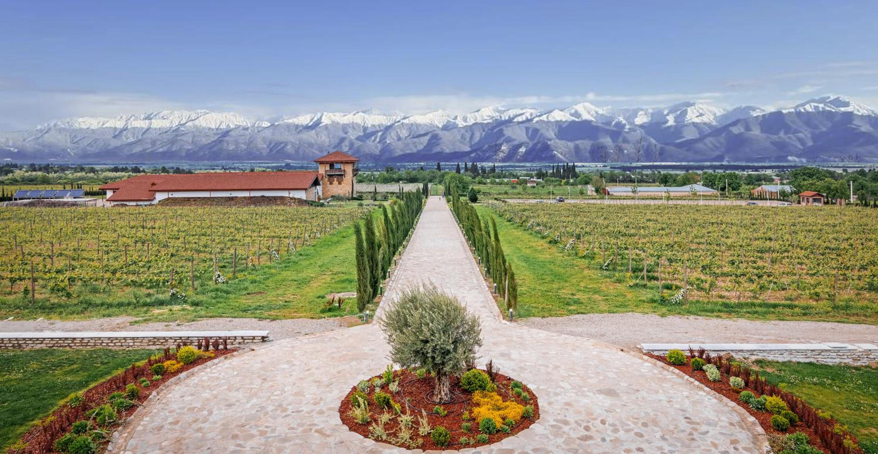Double or Twin Room with Mountain View - Photo 8