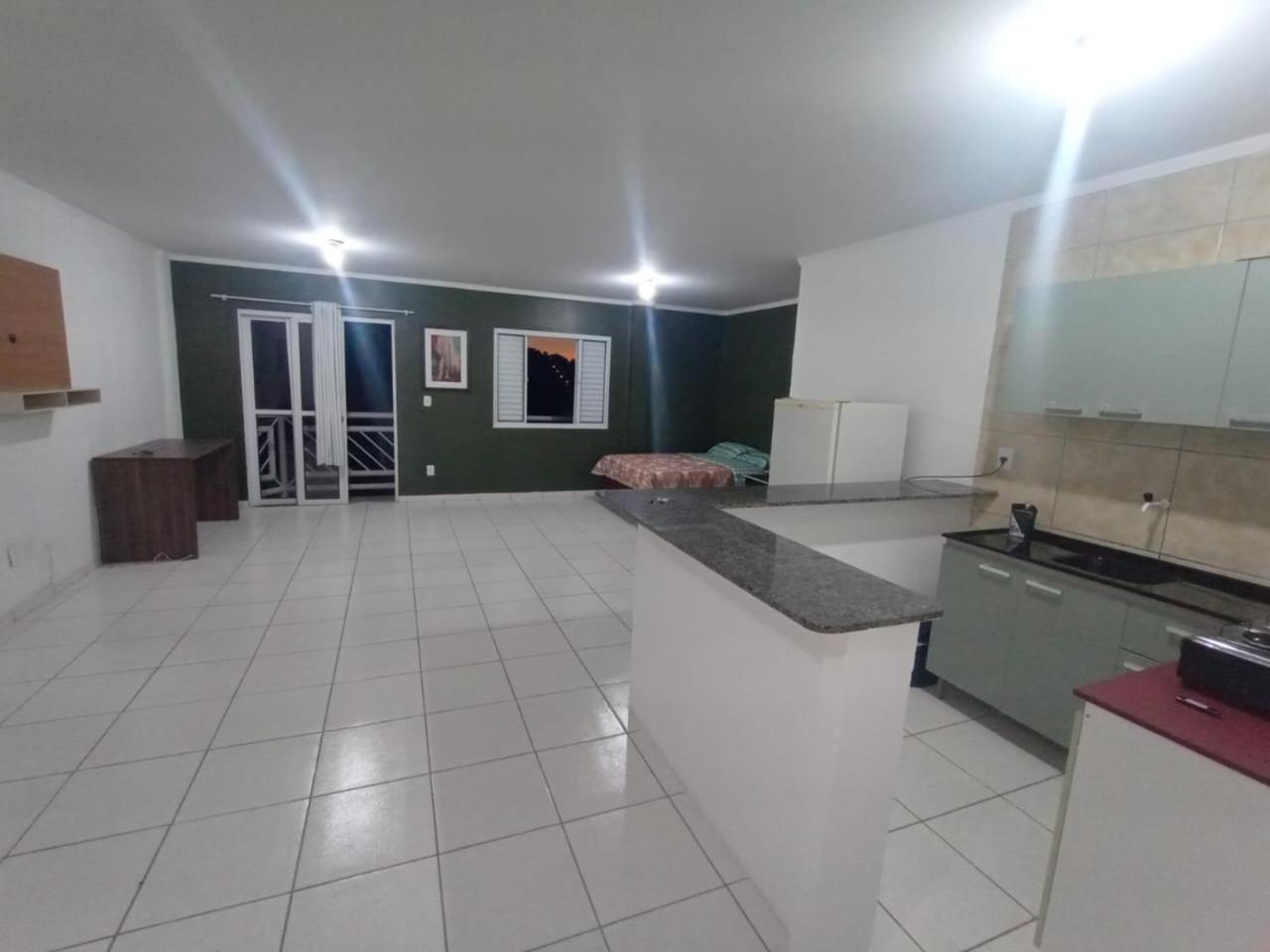 Deluxe One-Bedroom Apartment