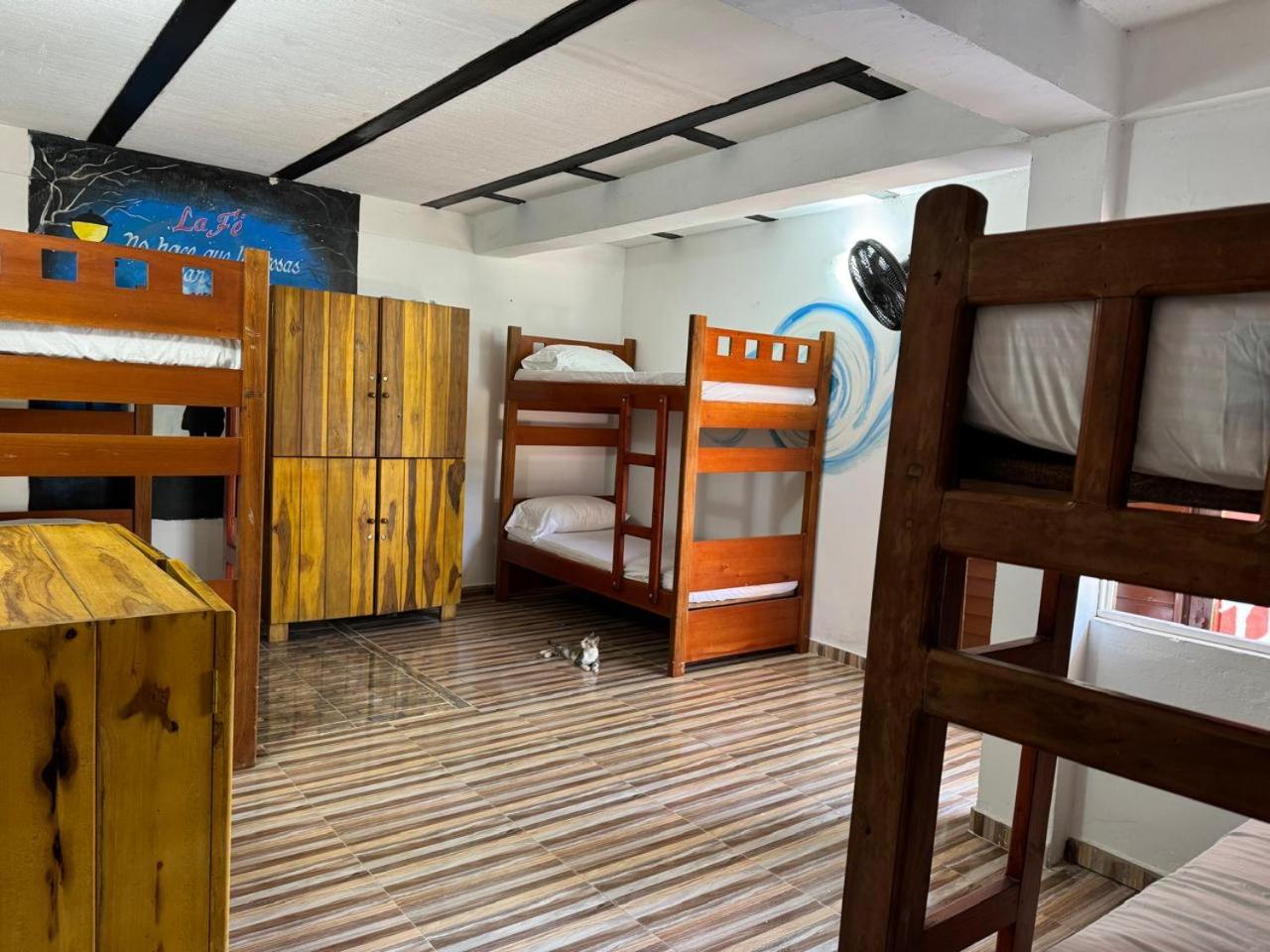 Bed in 6-Bed Mixed Dormitory Room photo 1