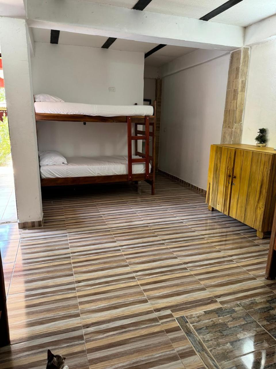 Bed in 6-Bed Mixed Dormitory Room photo 2