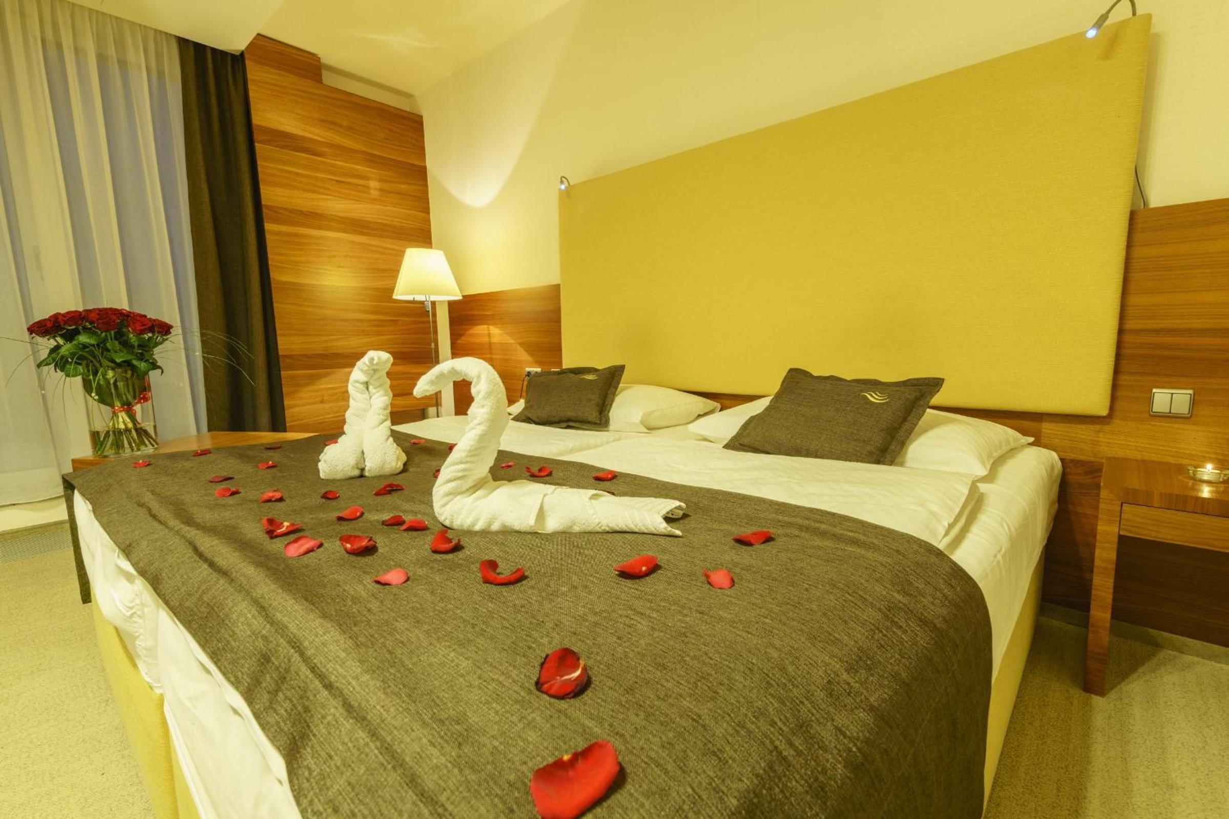 Standard Double Room - Photo 6