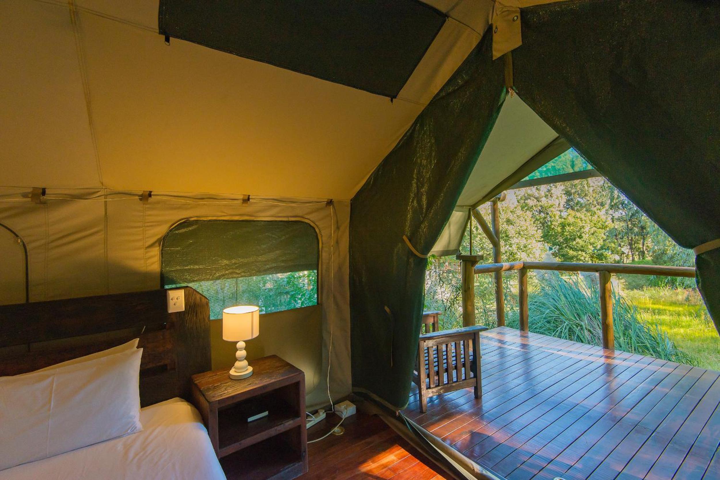 Safari Tent photo 2