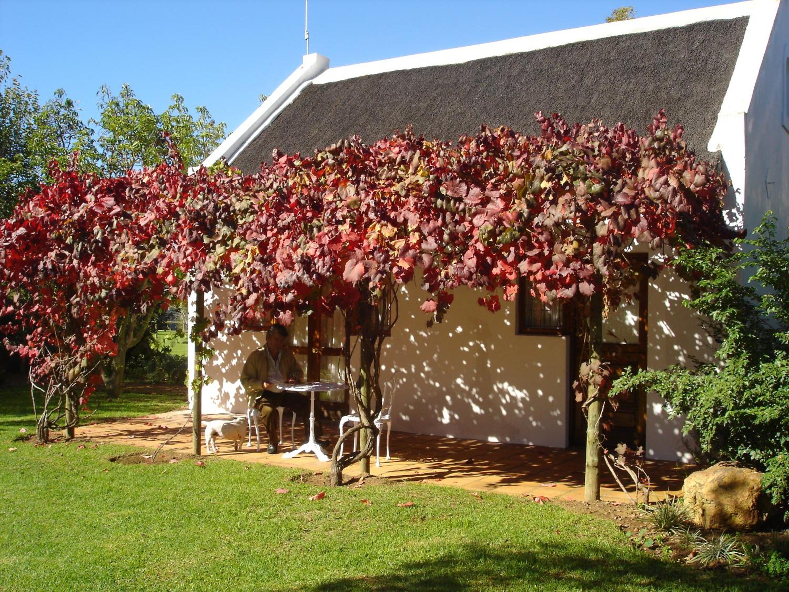 Luxury Cottage - Photo 2