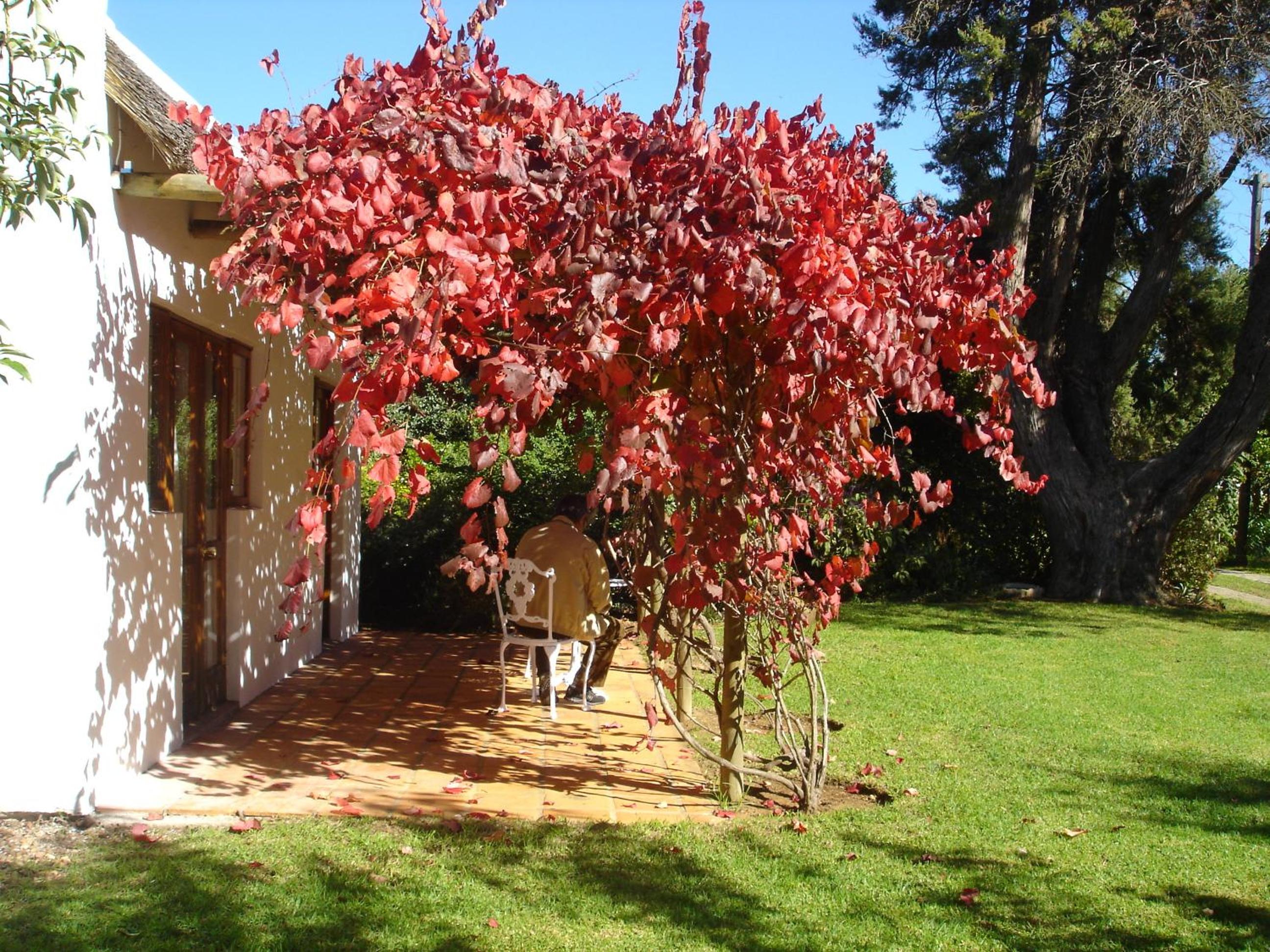 Luxury Cottage - Photo 1