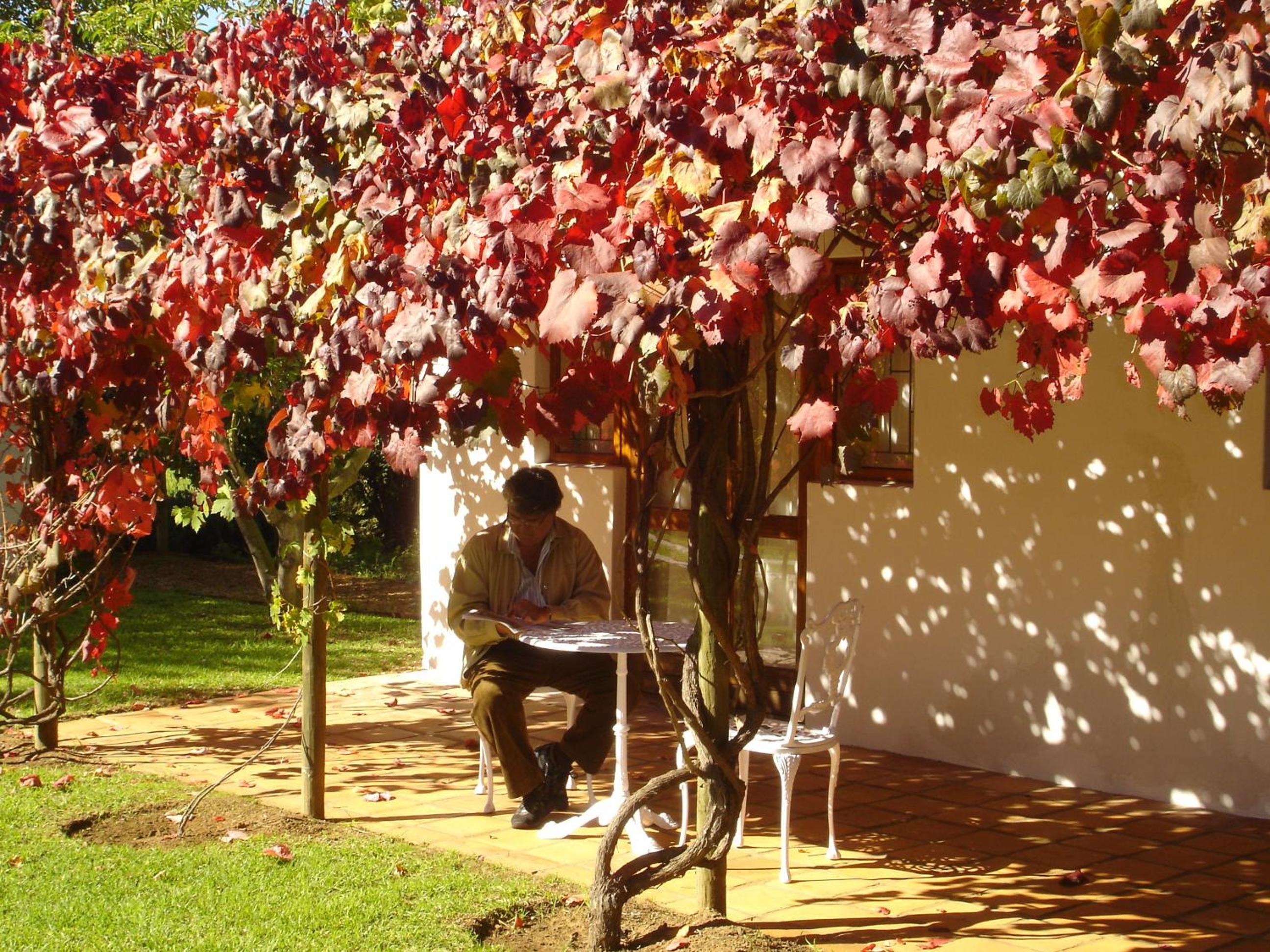 Luxury Cottage - Photo 3