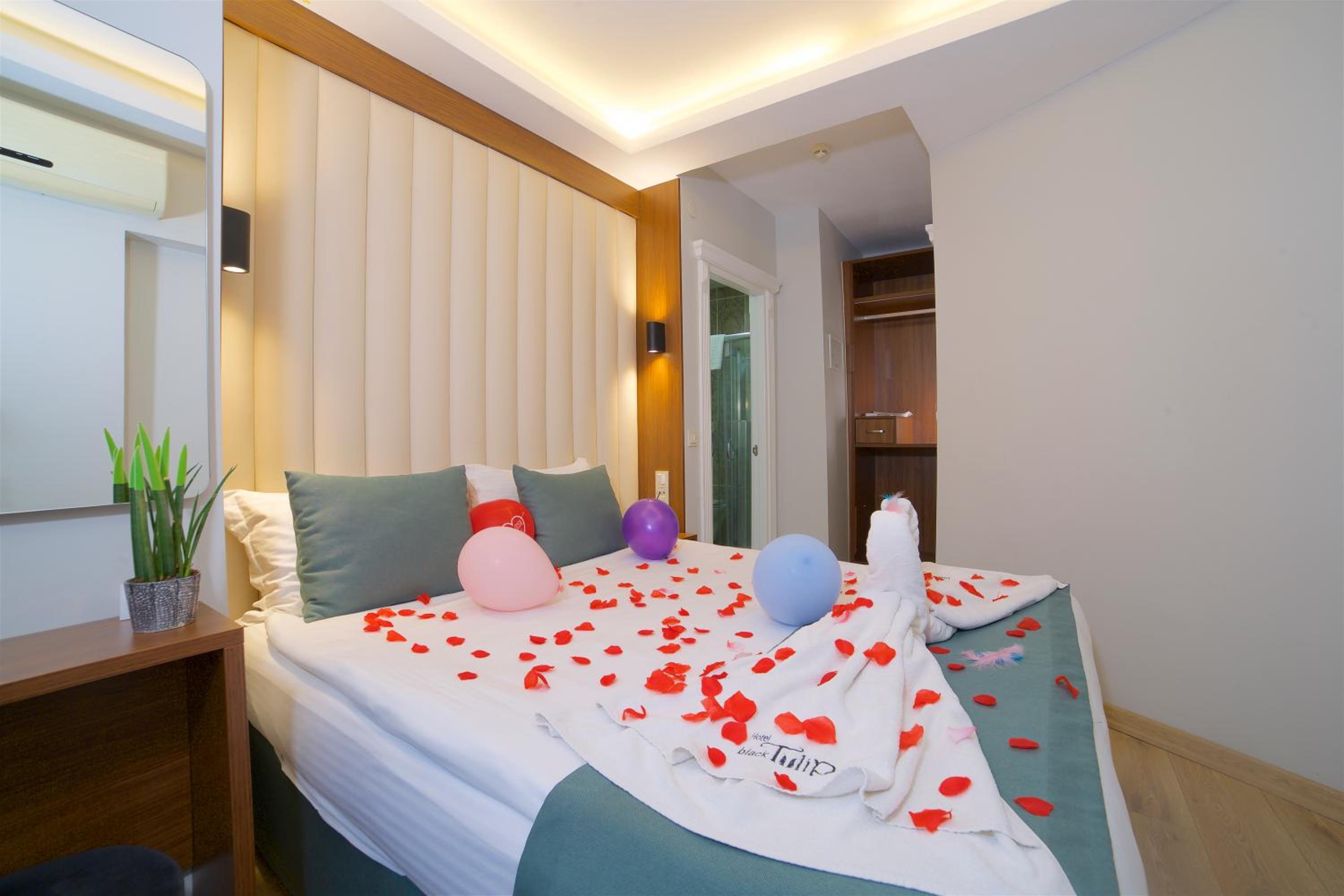 Economy Room - Small Room