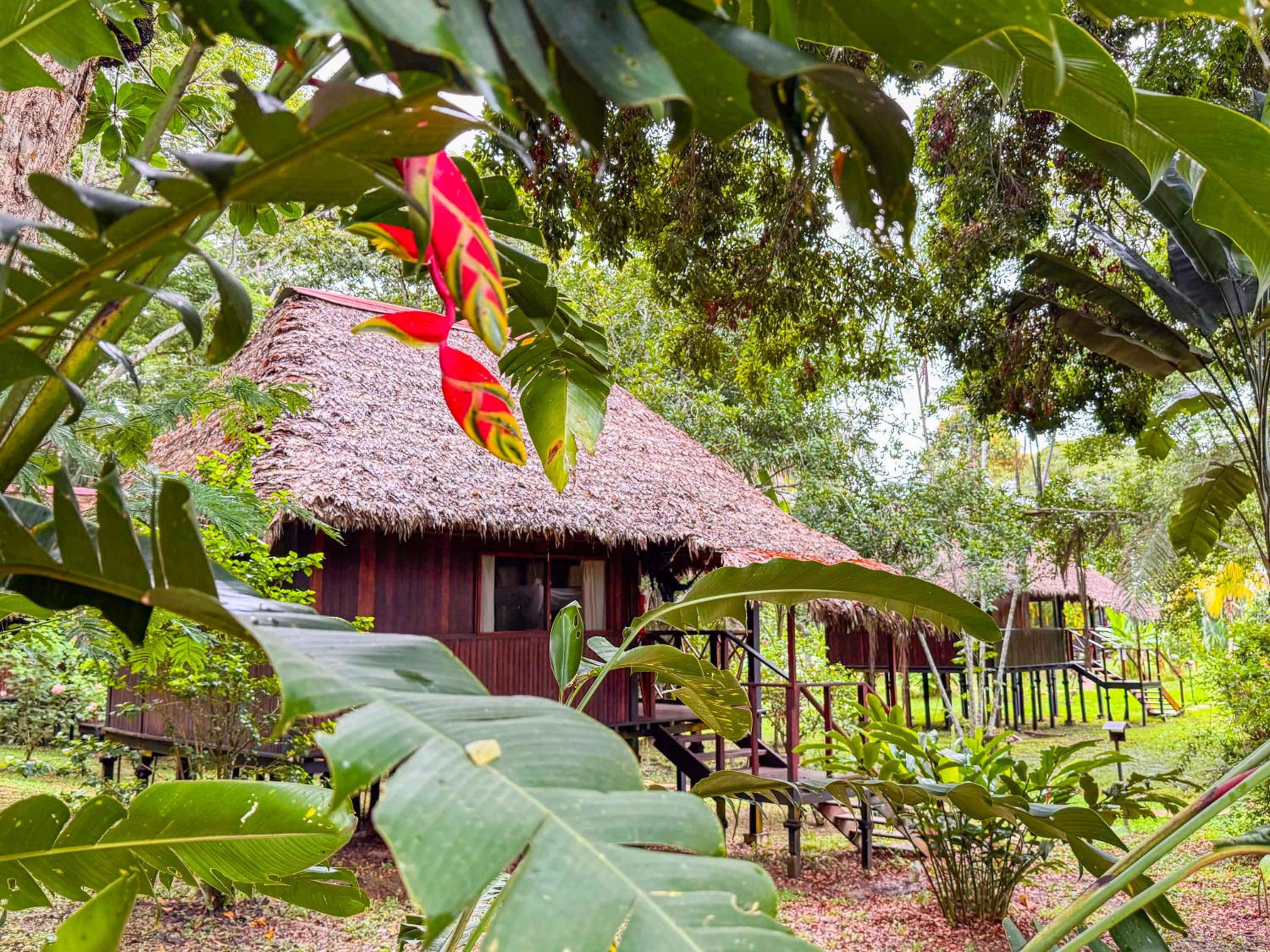 Bungalow photo 1