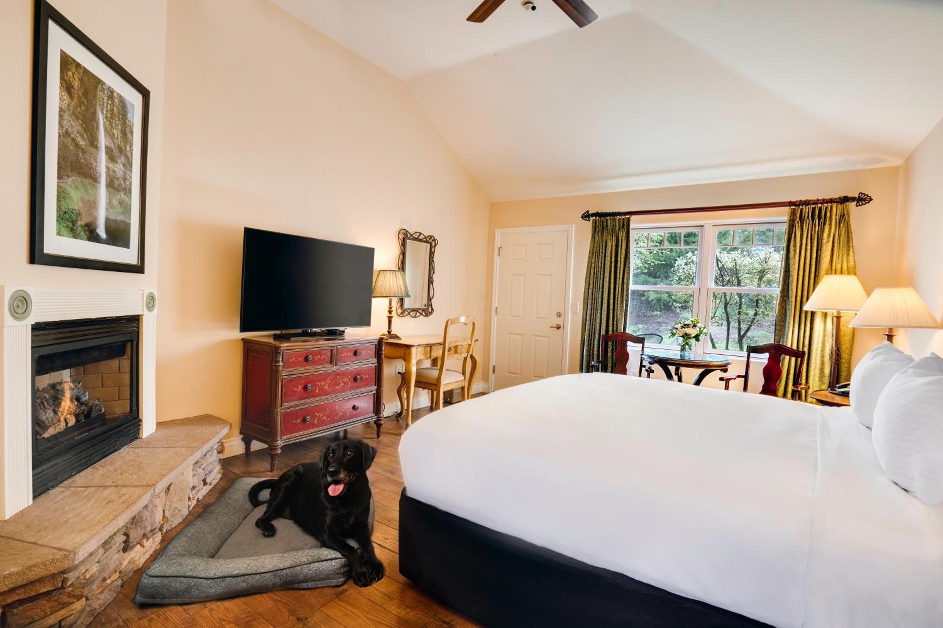 King Room photo 1