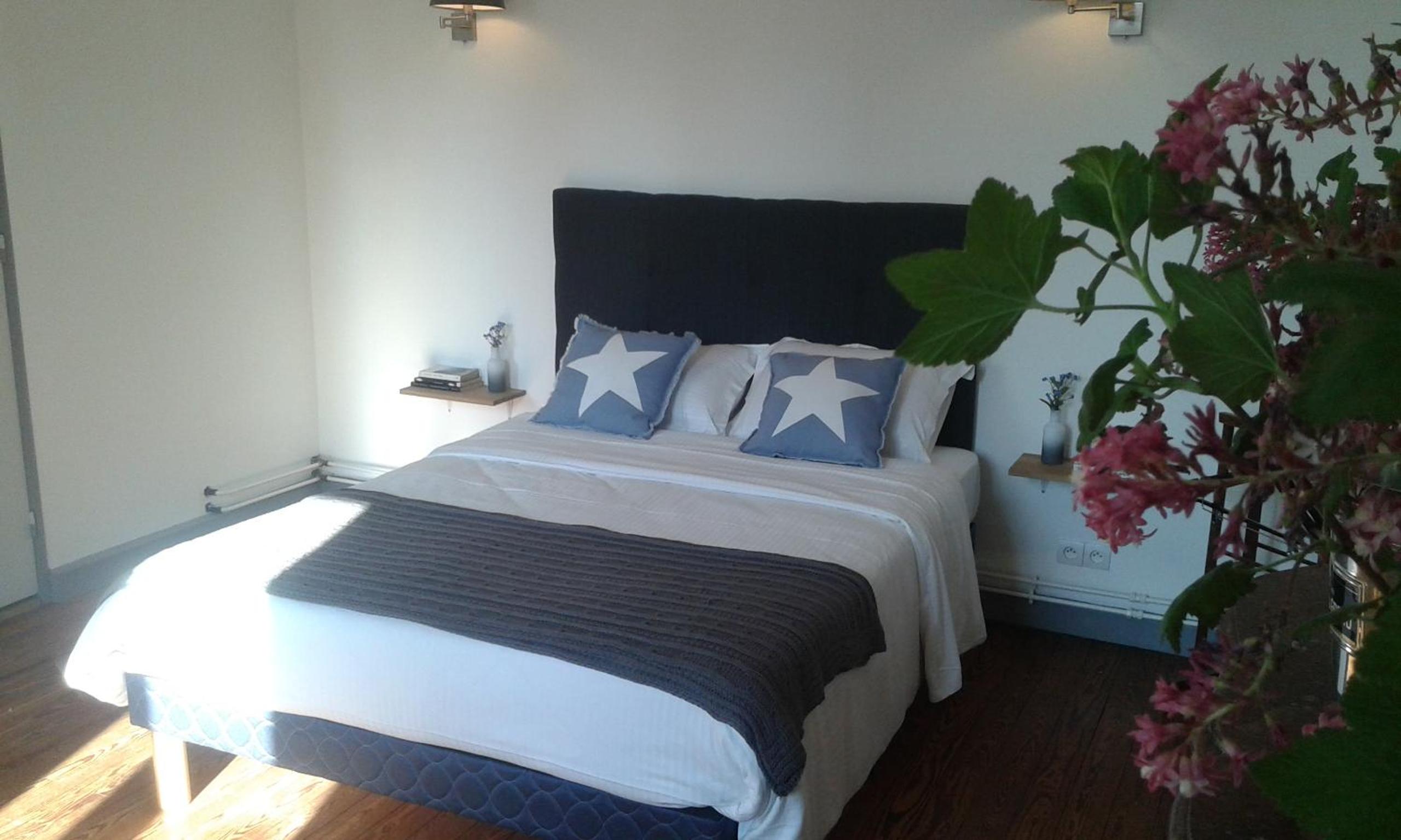 Deluxe Double Room photo 2