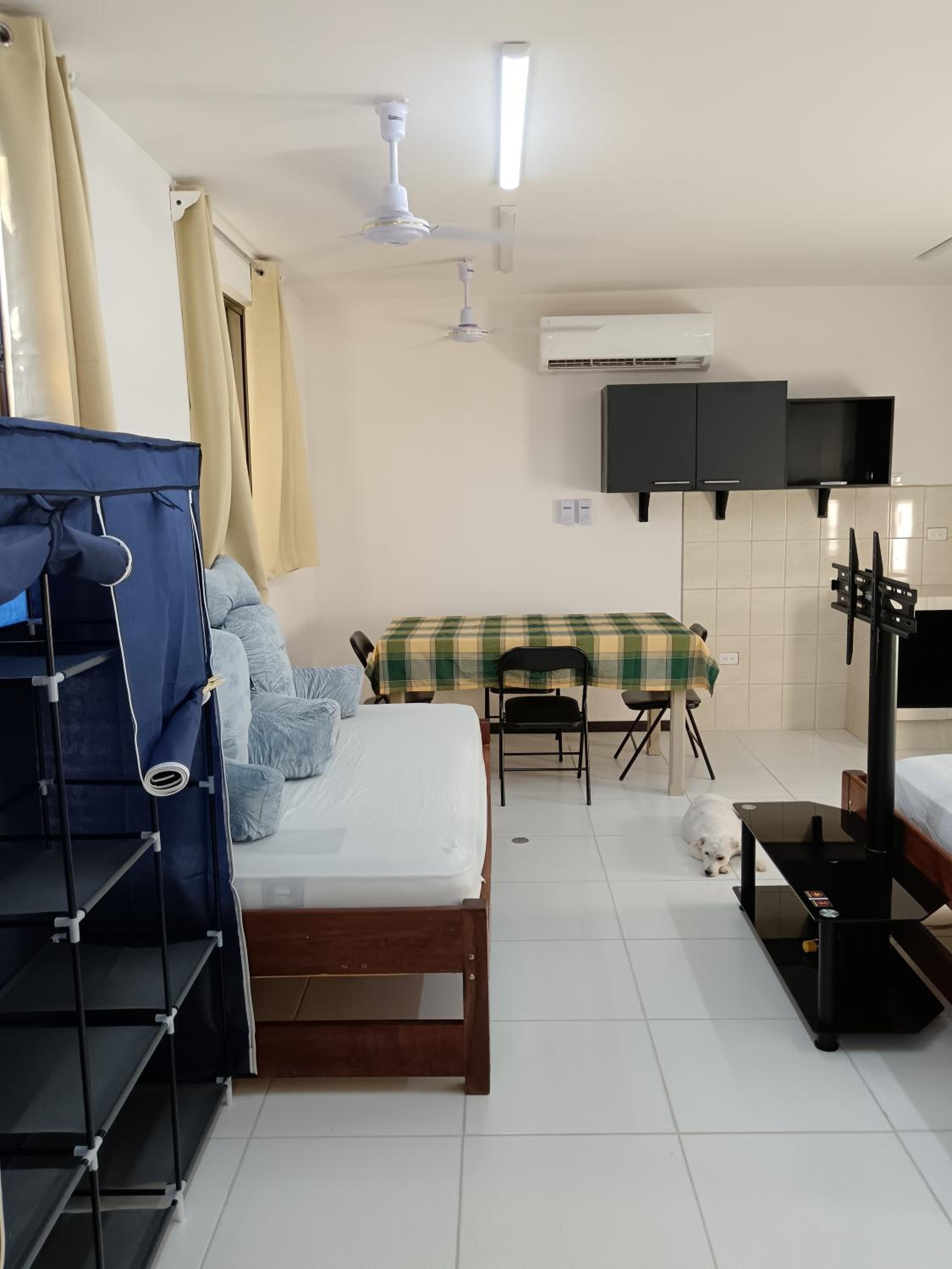 Studio Apartment photo 3