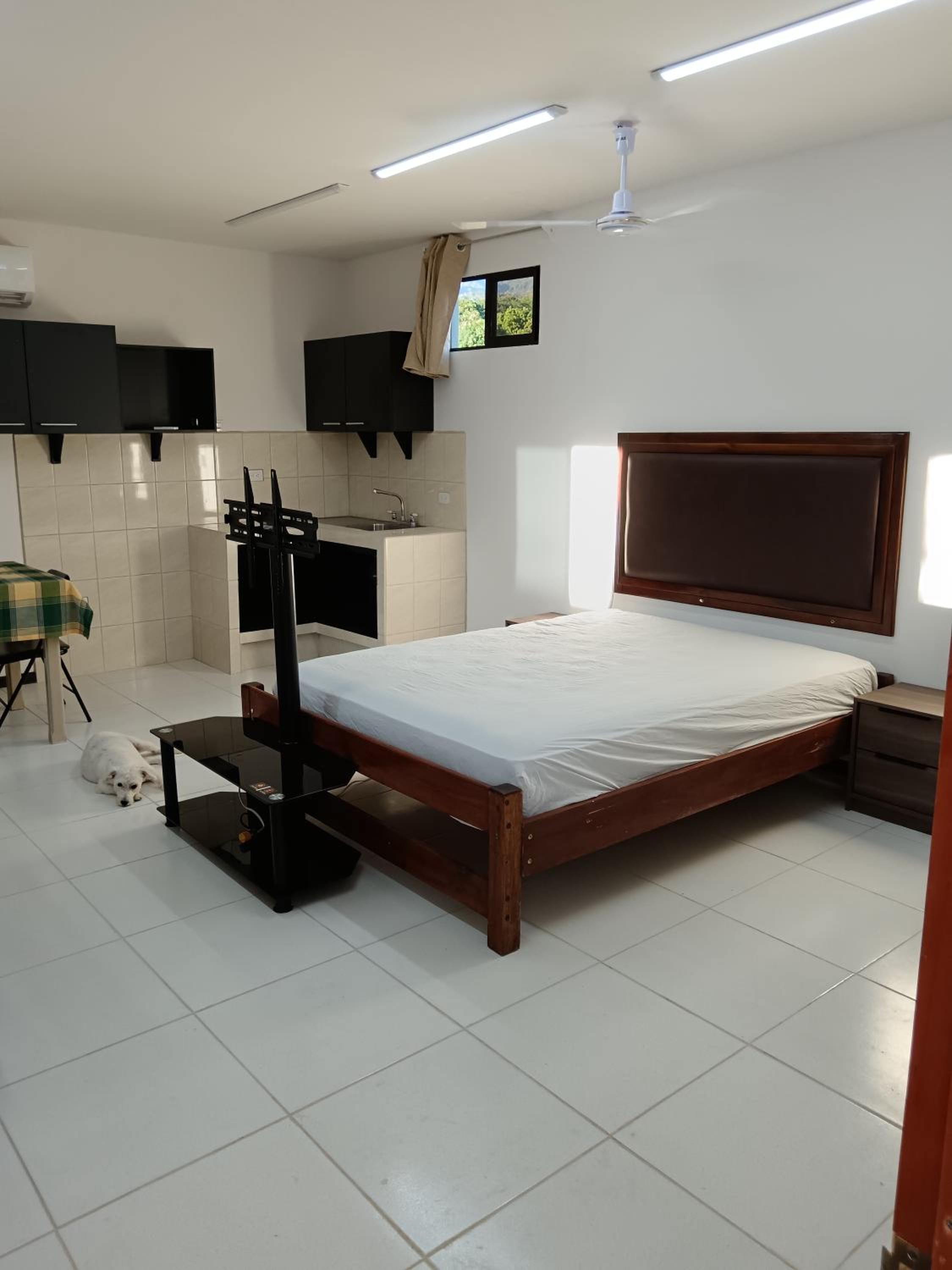 Studio Apartment photo 2