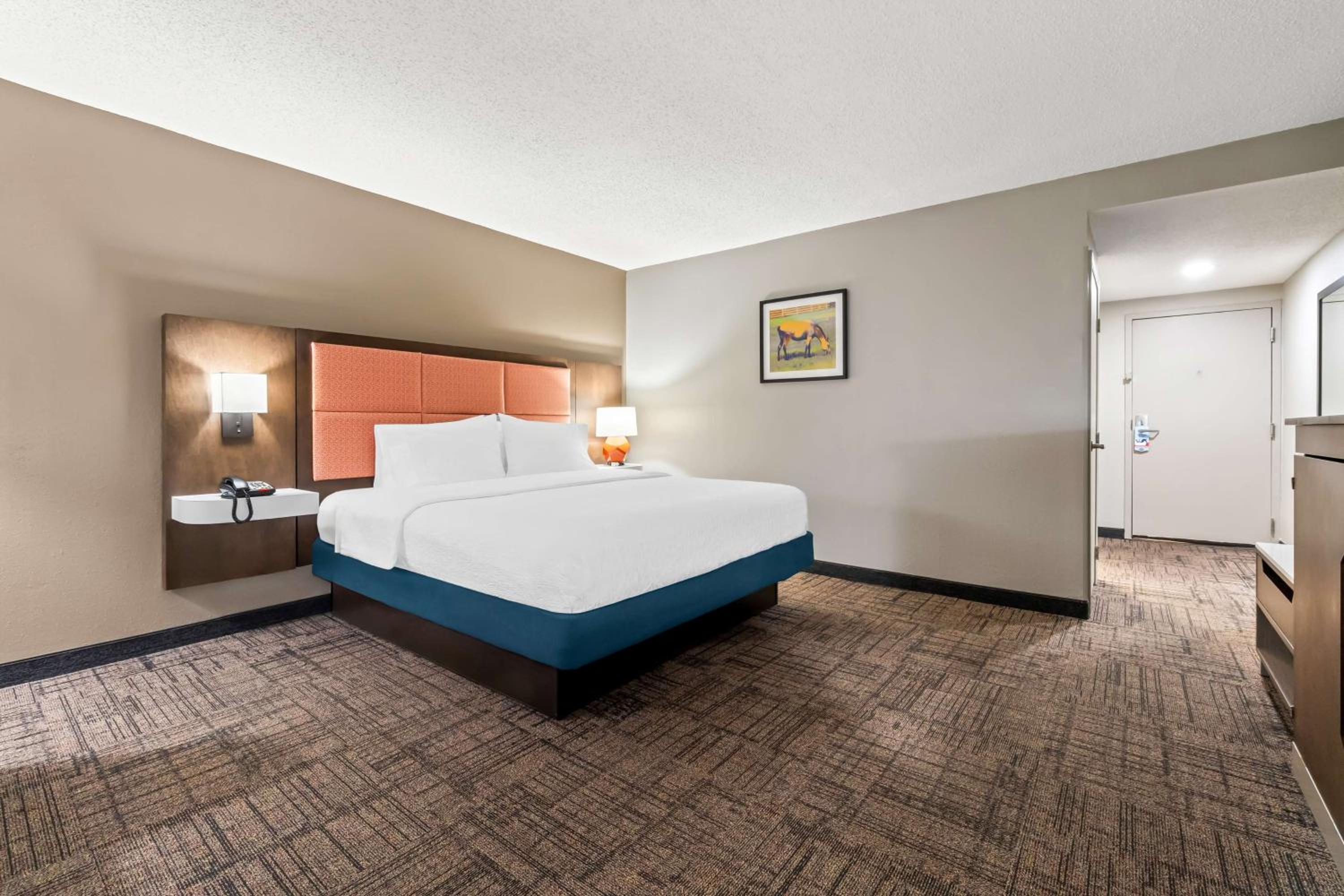 Standard King Room - Photo 4
