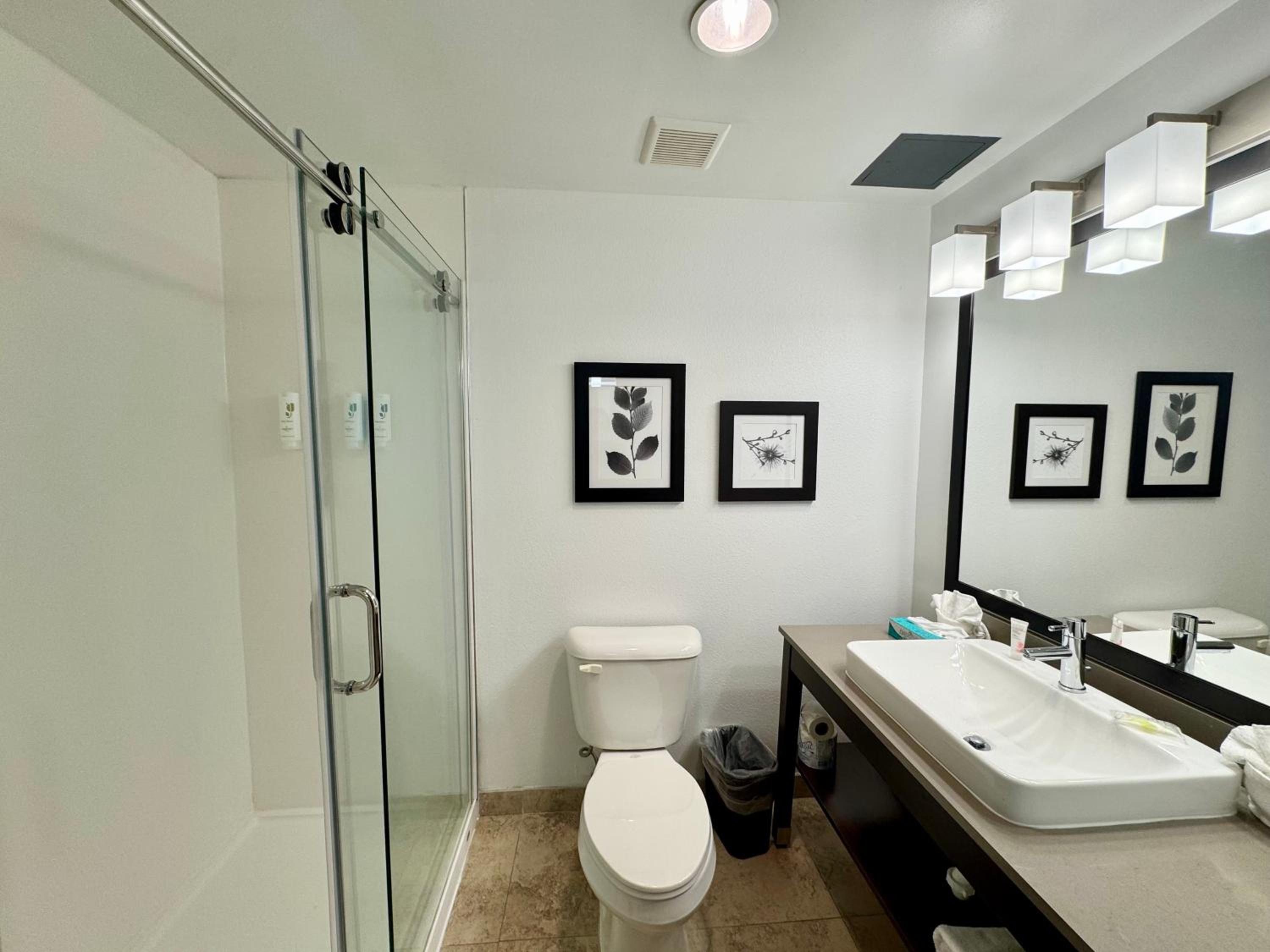 Single Room - Non Smoking - Photo 2