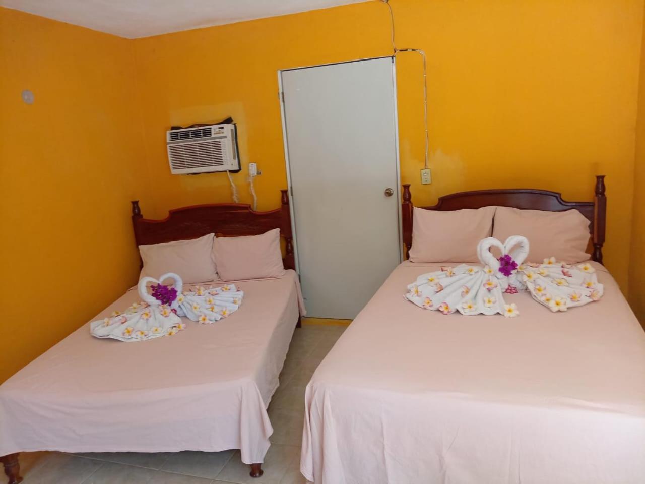 Twin Room photo 1