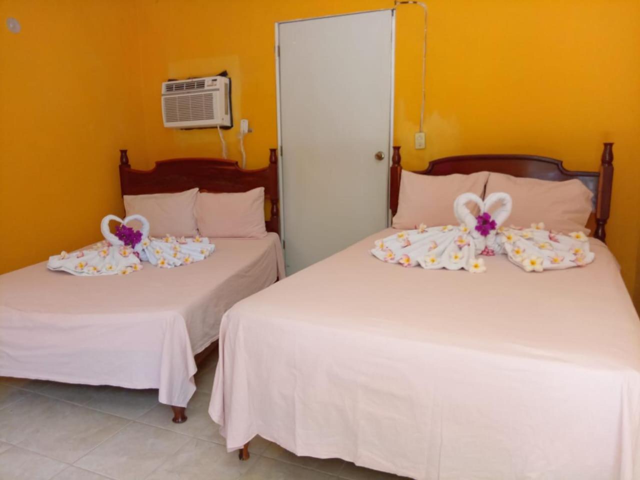 Twin Room photo 3