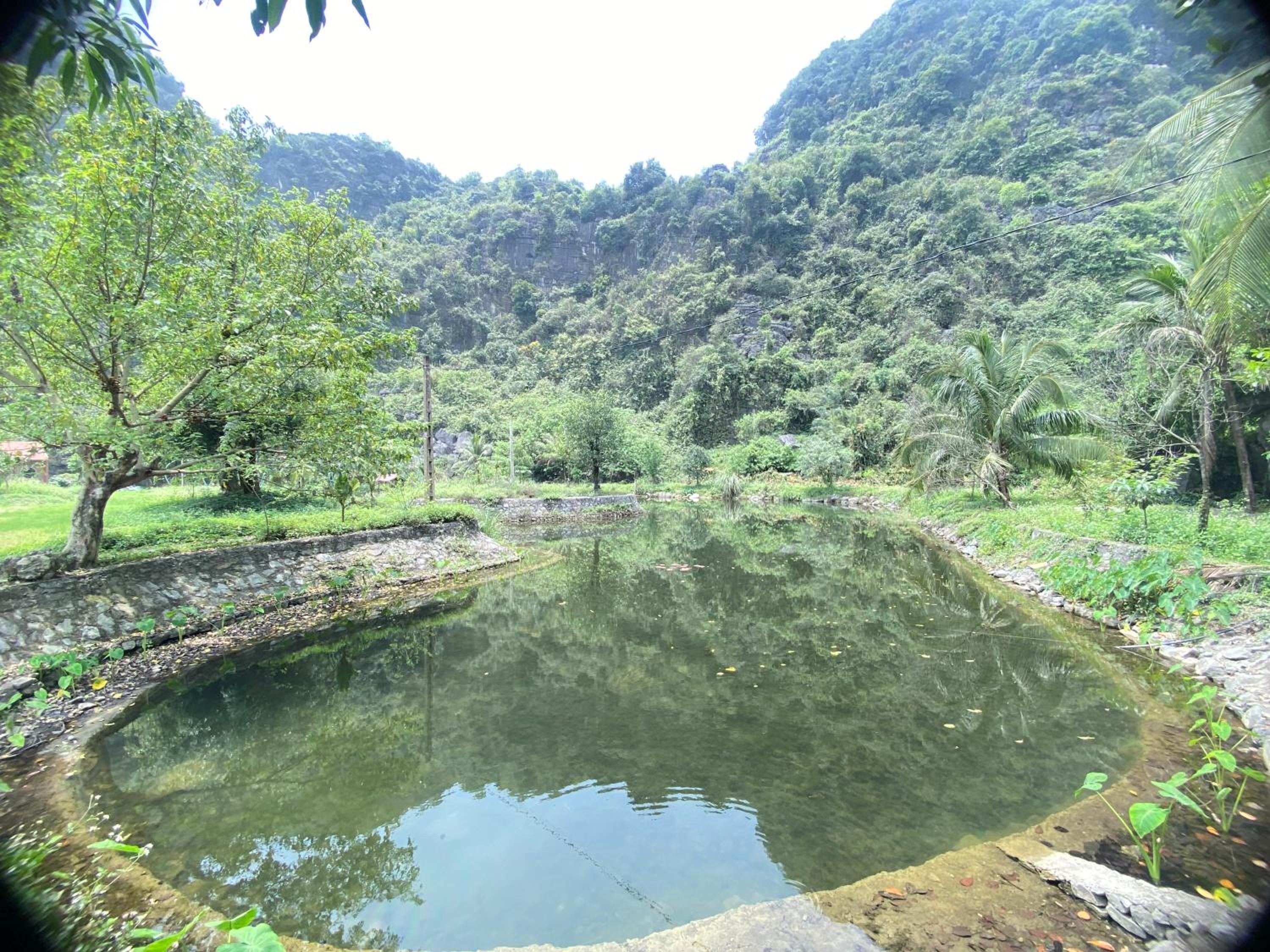 Double Room with Mountain View photo 3