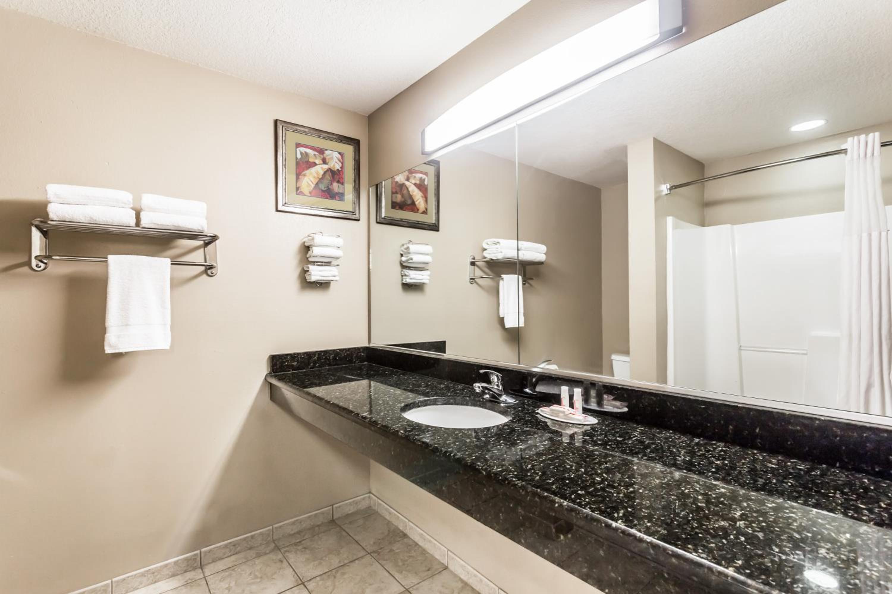 Deluxe King Suite with Jetted Tub - Photo 6