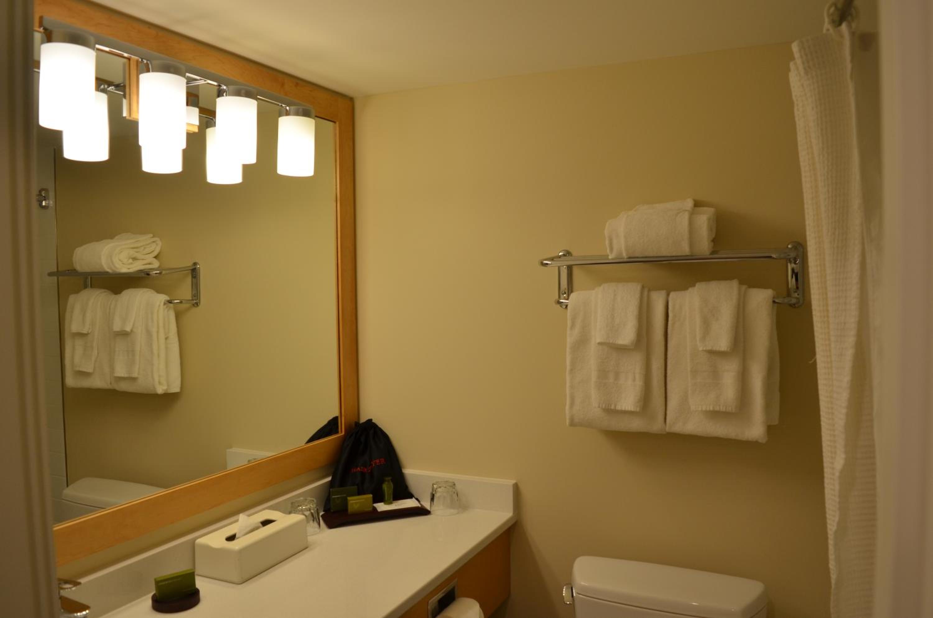 Queen Room with Two Queen Beds with Lake View - Photo 8