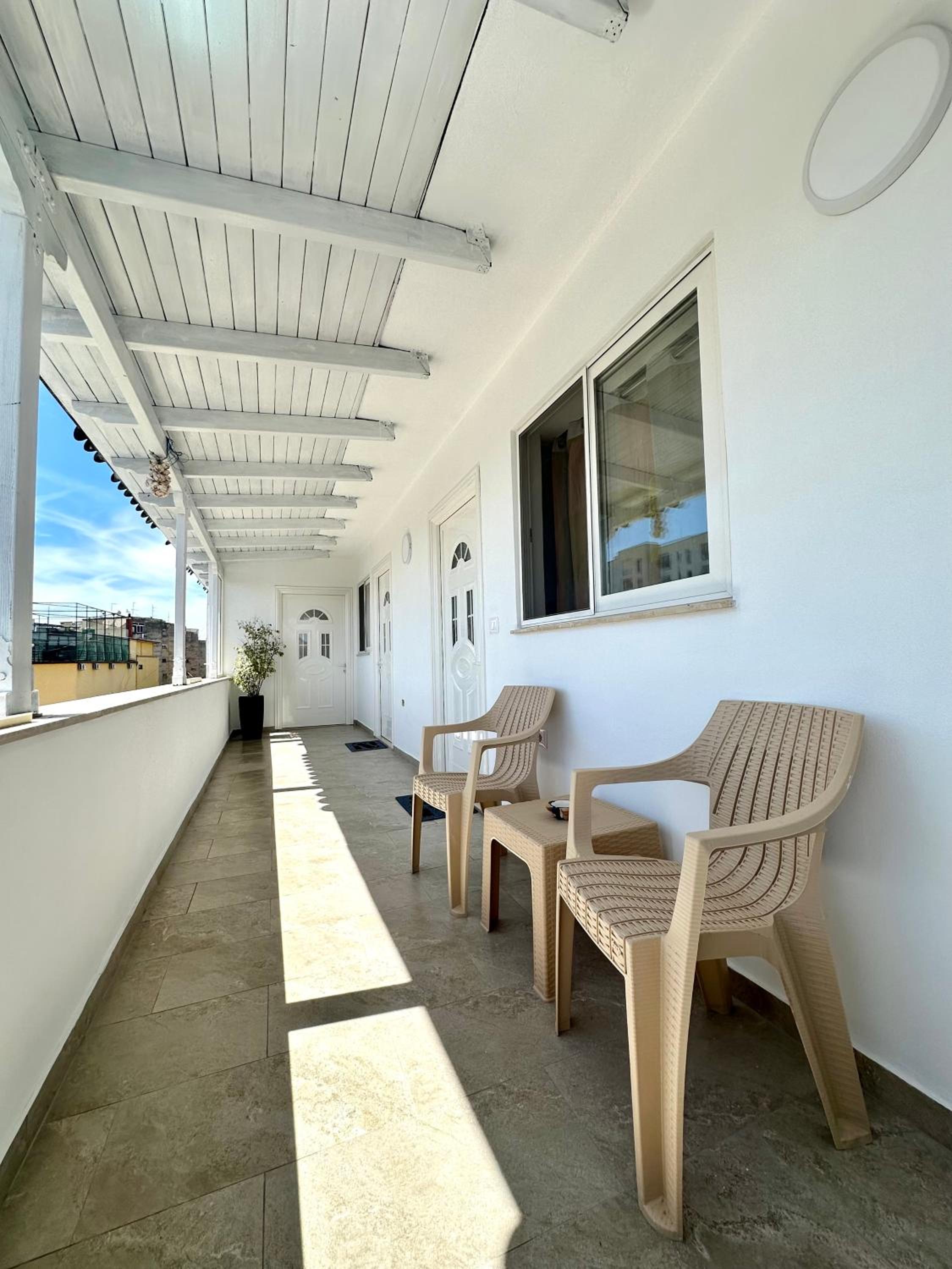 Studio with Terrace photo 1