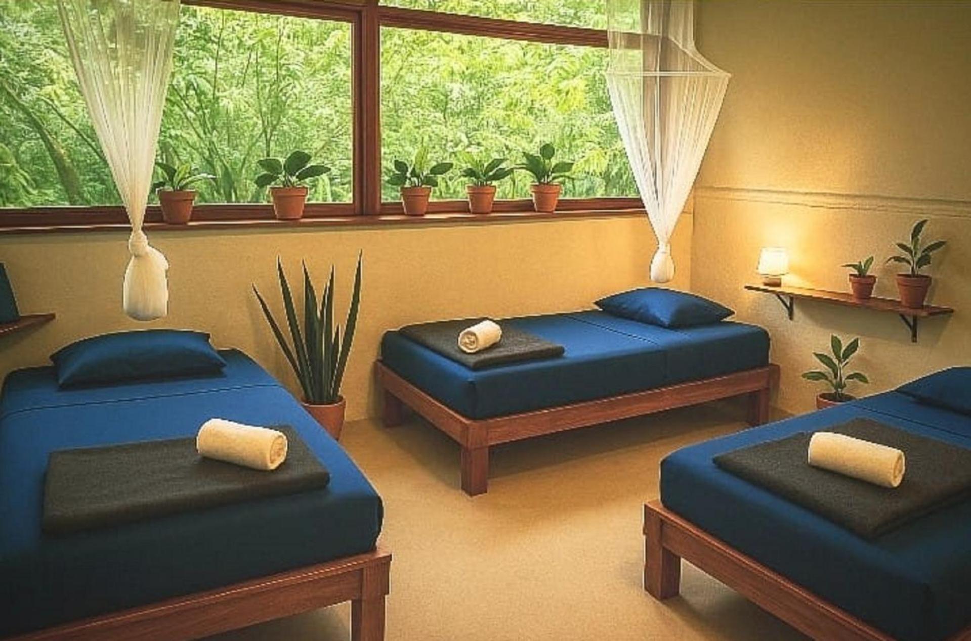 Single Bed in Female Dormitory Room photo 2