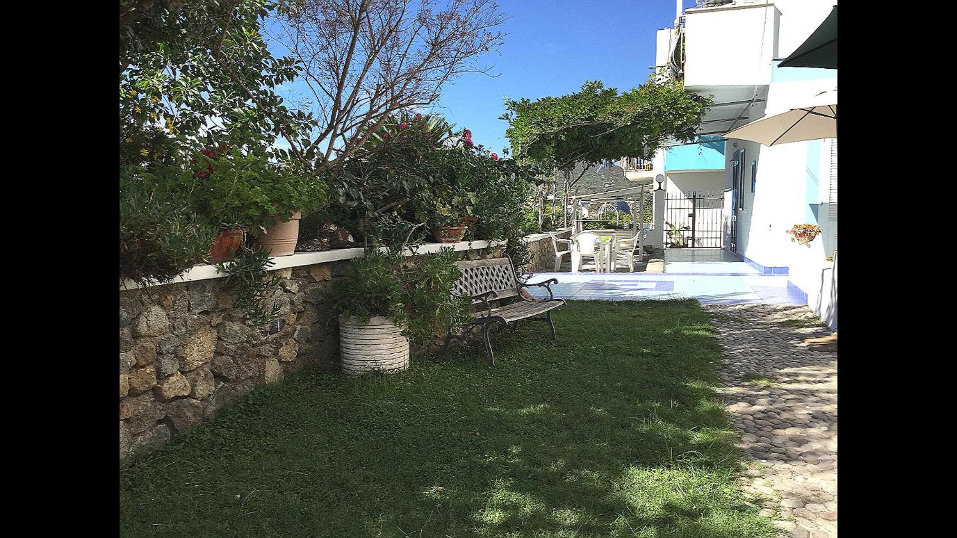 Studio with Terrace photo 2