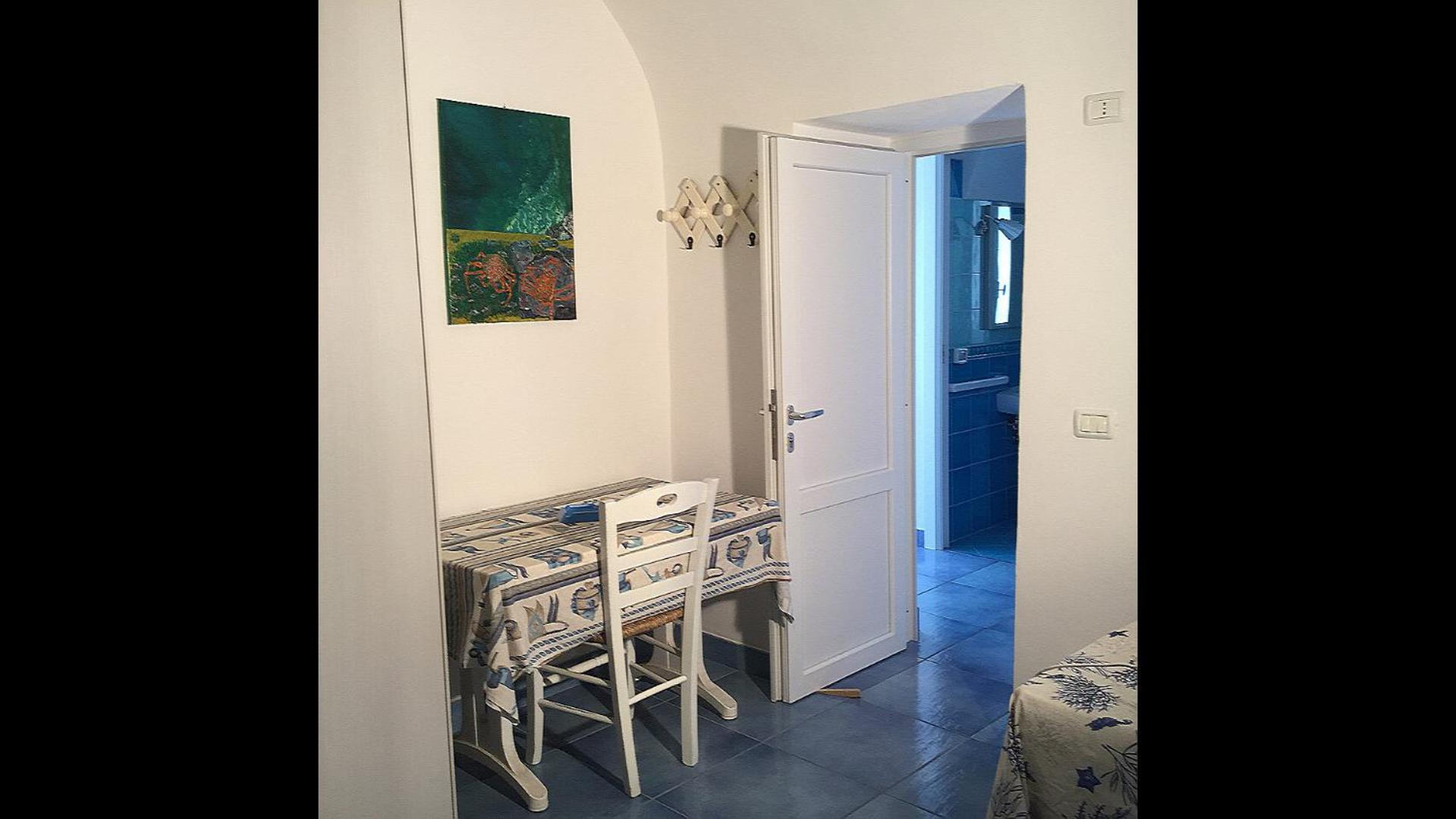 Studio with Terrace