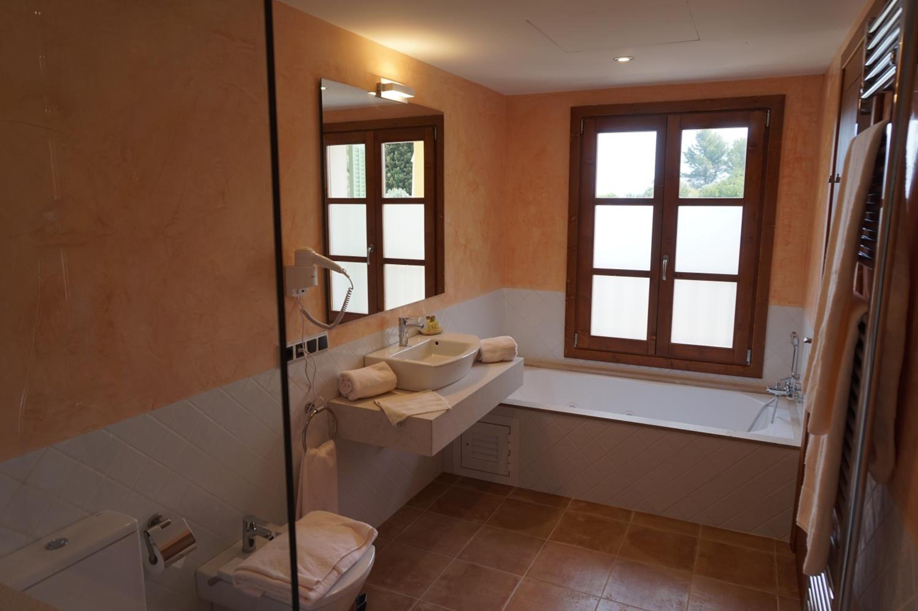 Junior Suite with Terrace photo 3