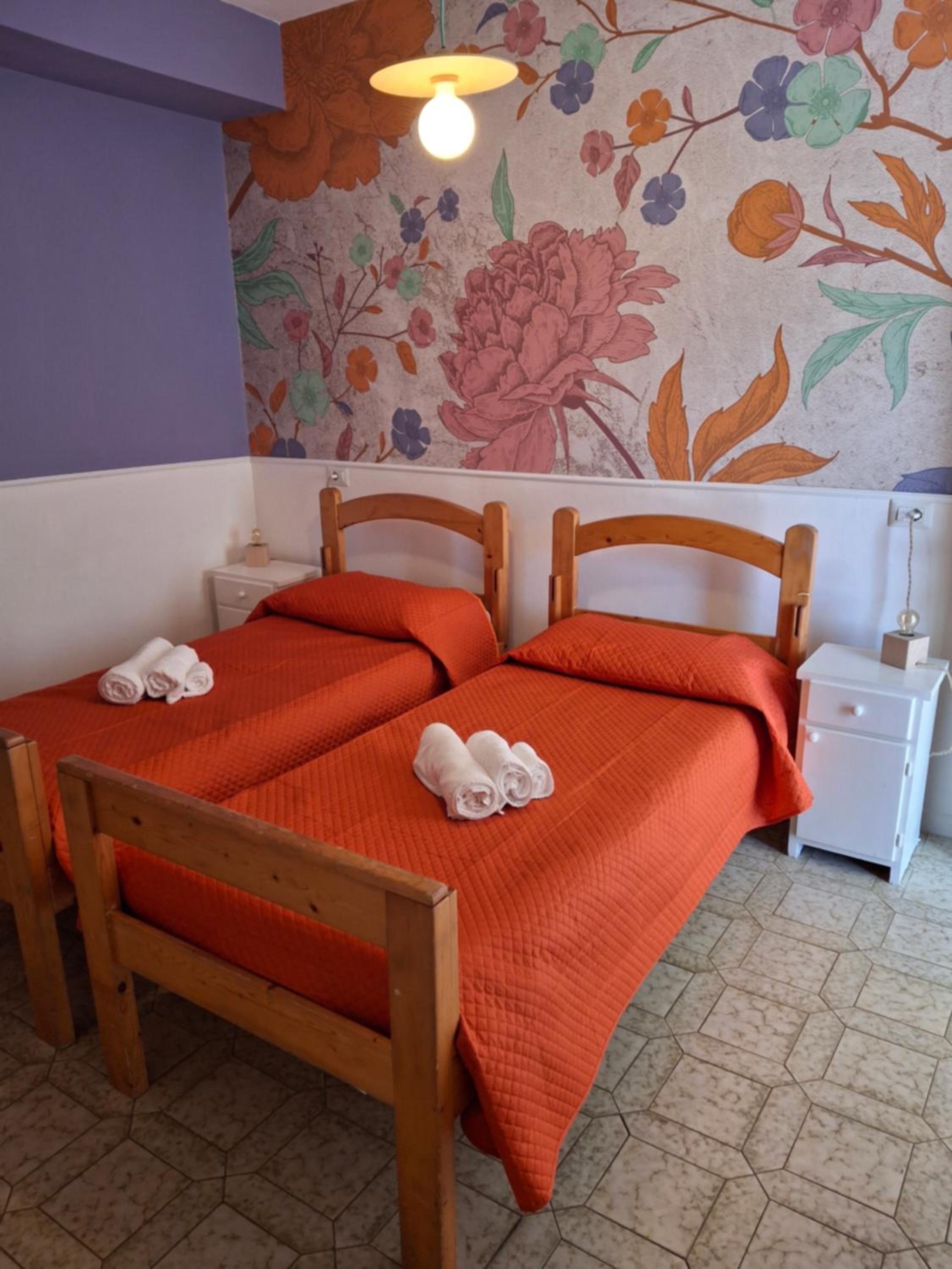 Budget Single Room photo 1