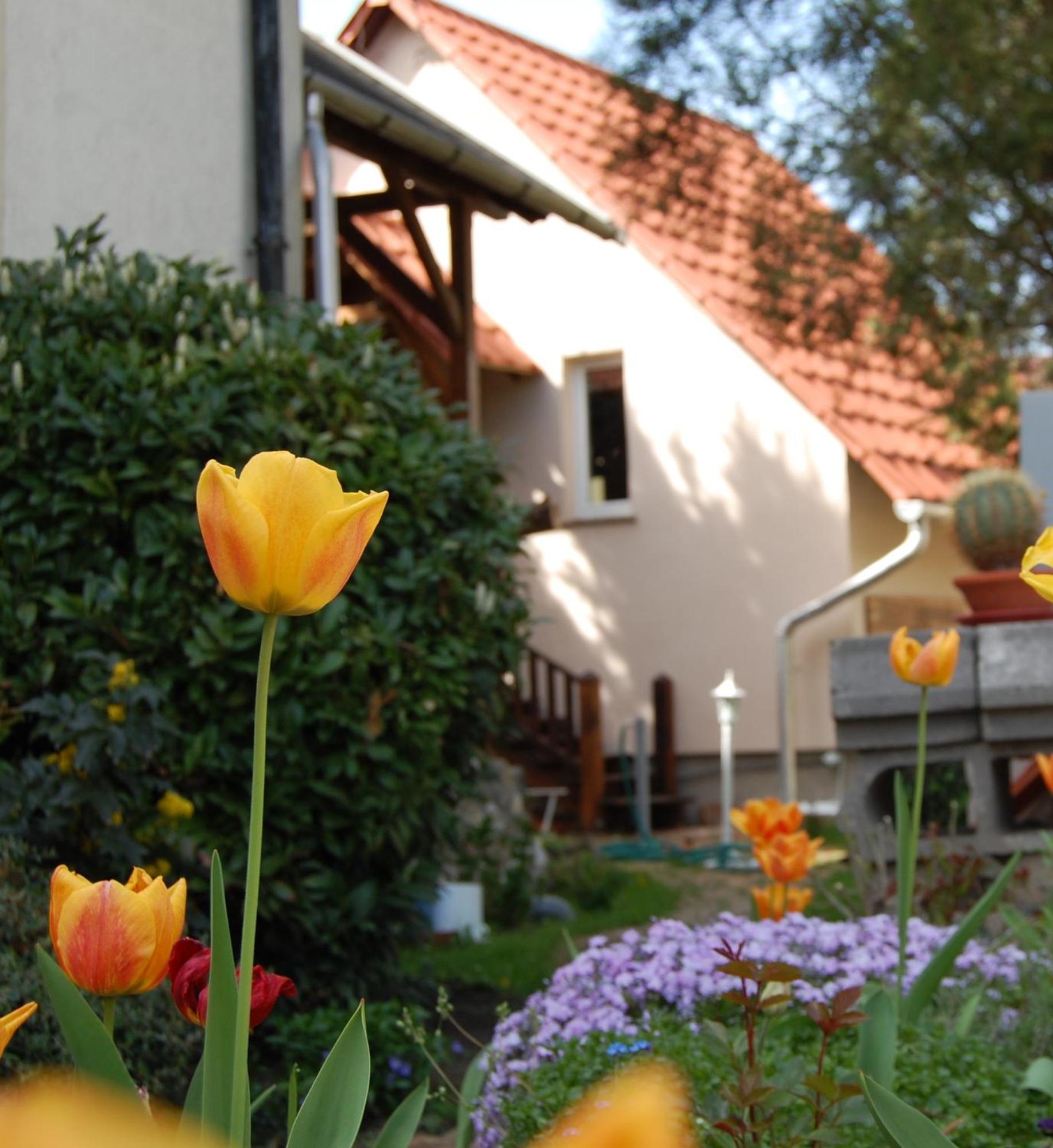 Studio with Terrace photo 2