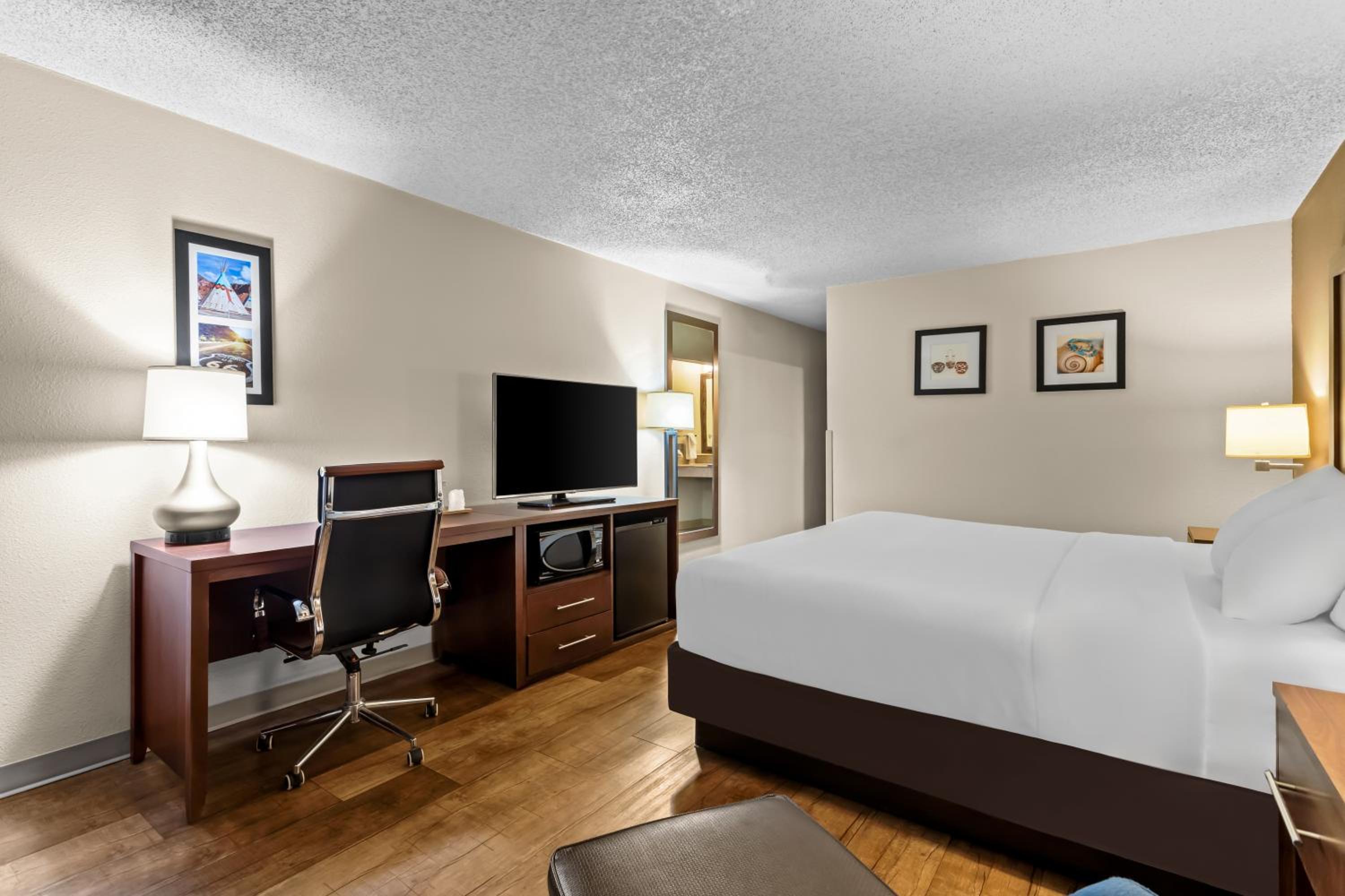 King Room - Non Smoking/Pet Friendly - Photo 4