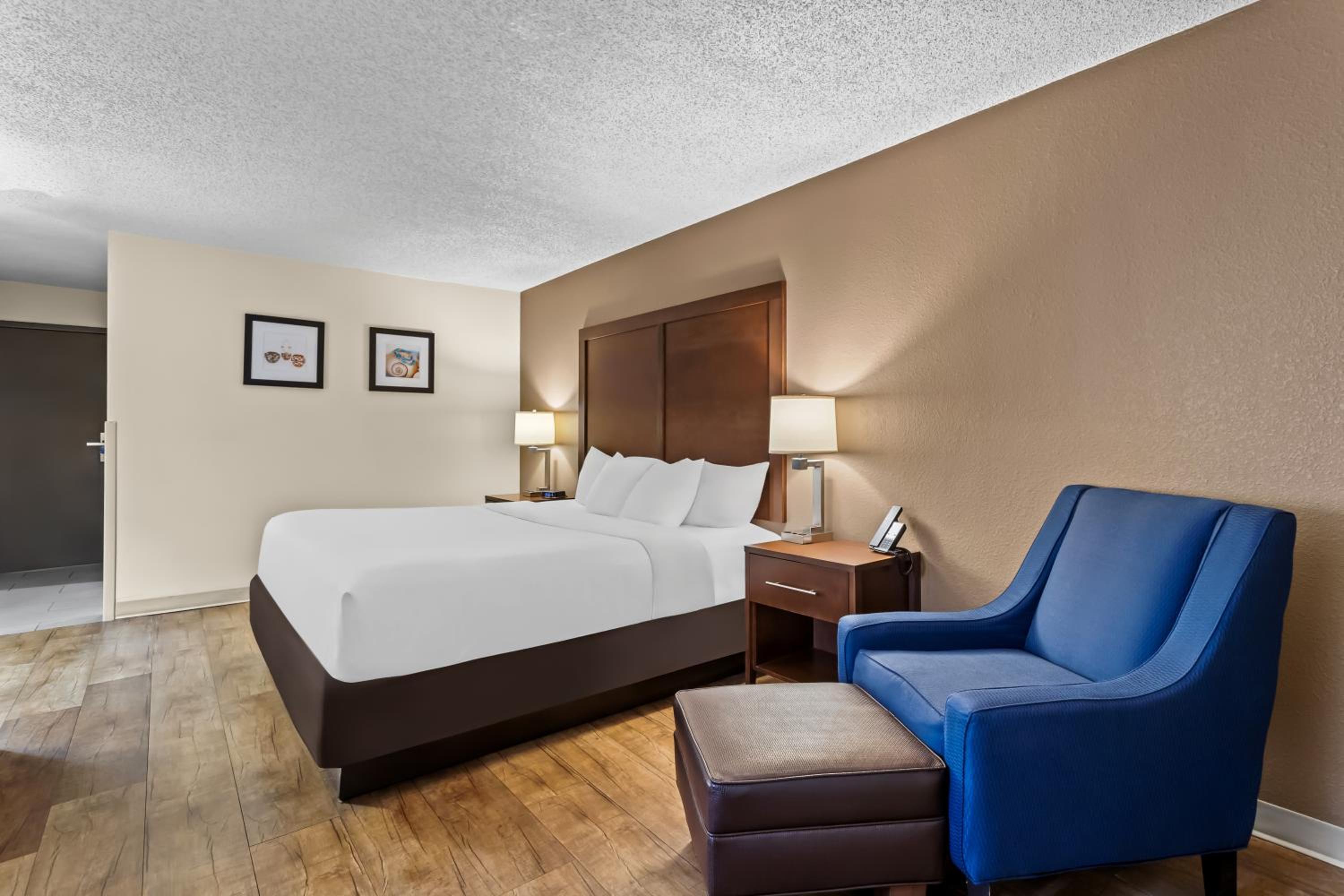 King Room - Non Smoking/Pet Friendly - Photo 3