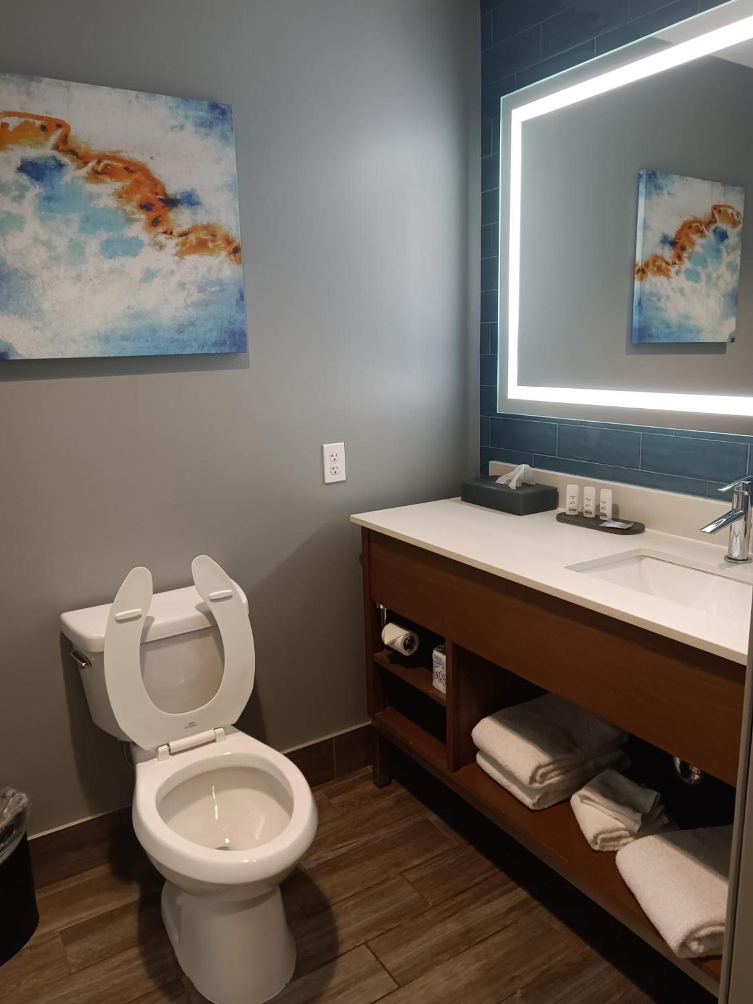 King Suite - Mobility/Hearing Accessible with Bath Tub - Non-Smoking - Photo 4